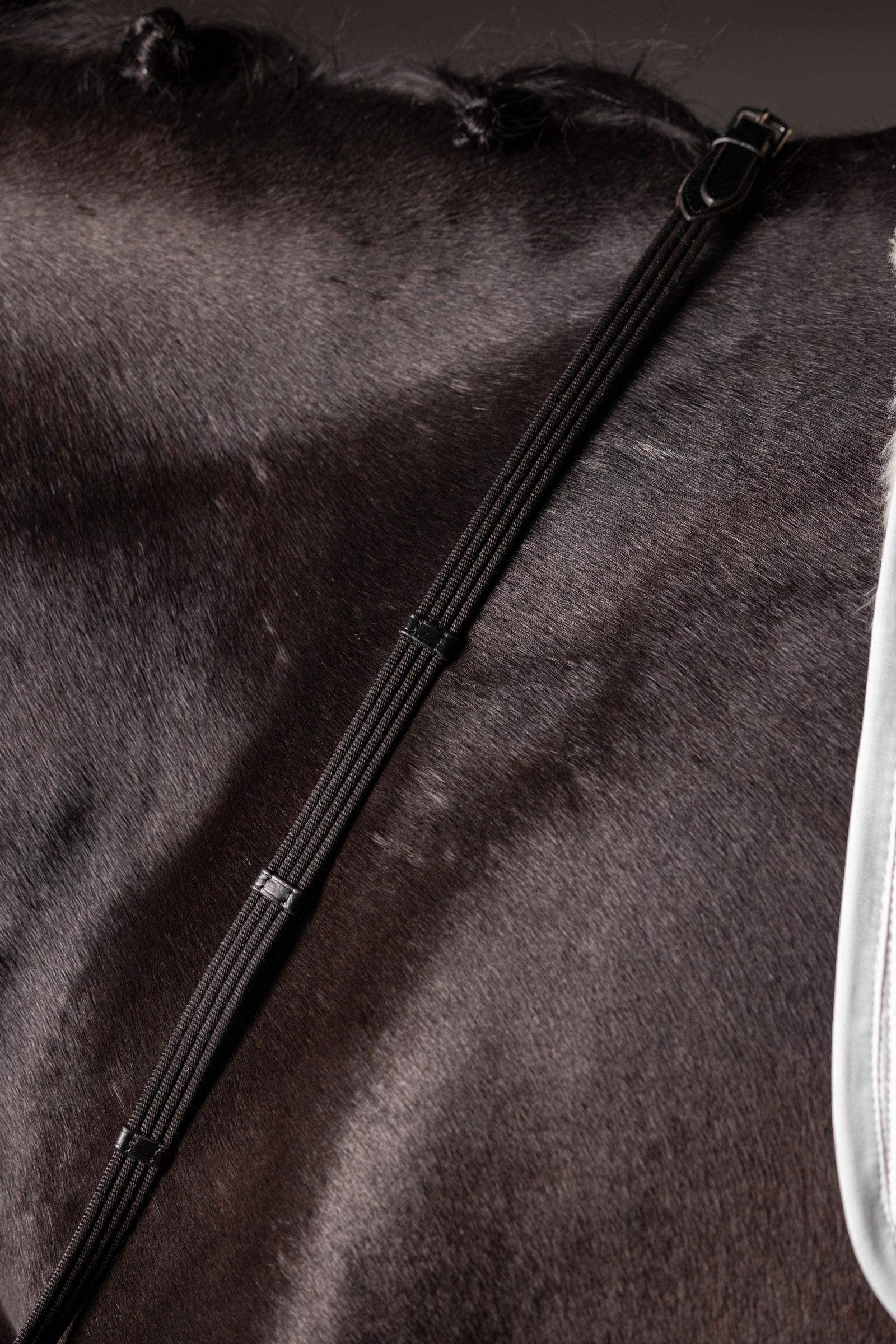 LeMieux Continental kangasohjat