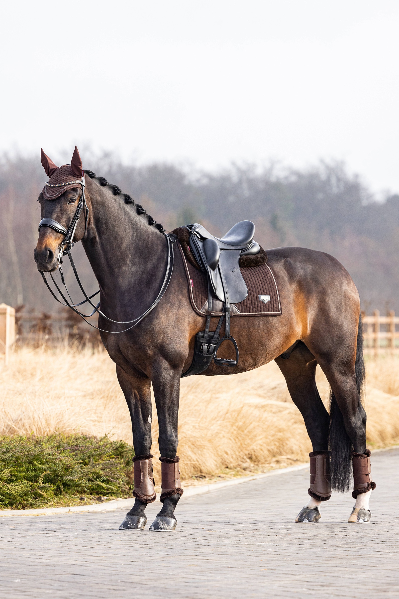 LeMieux Puissance koulusatulahuopa mokkajäljitelmästä