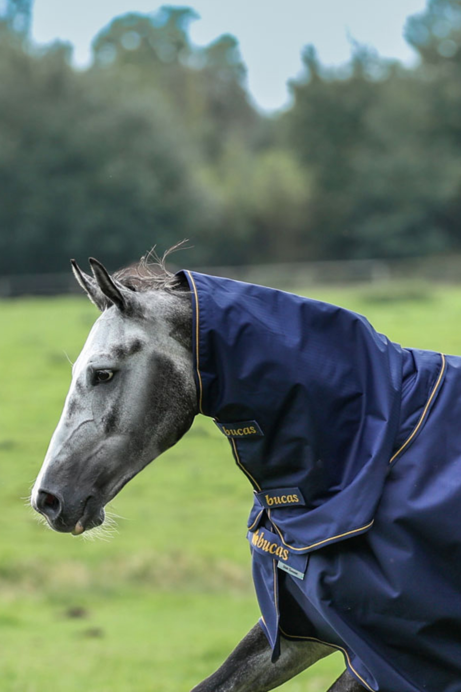 Bucas Irish Turnout kaulakappale, 0g