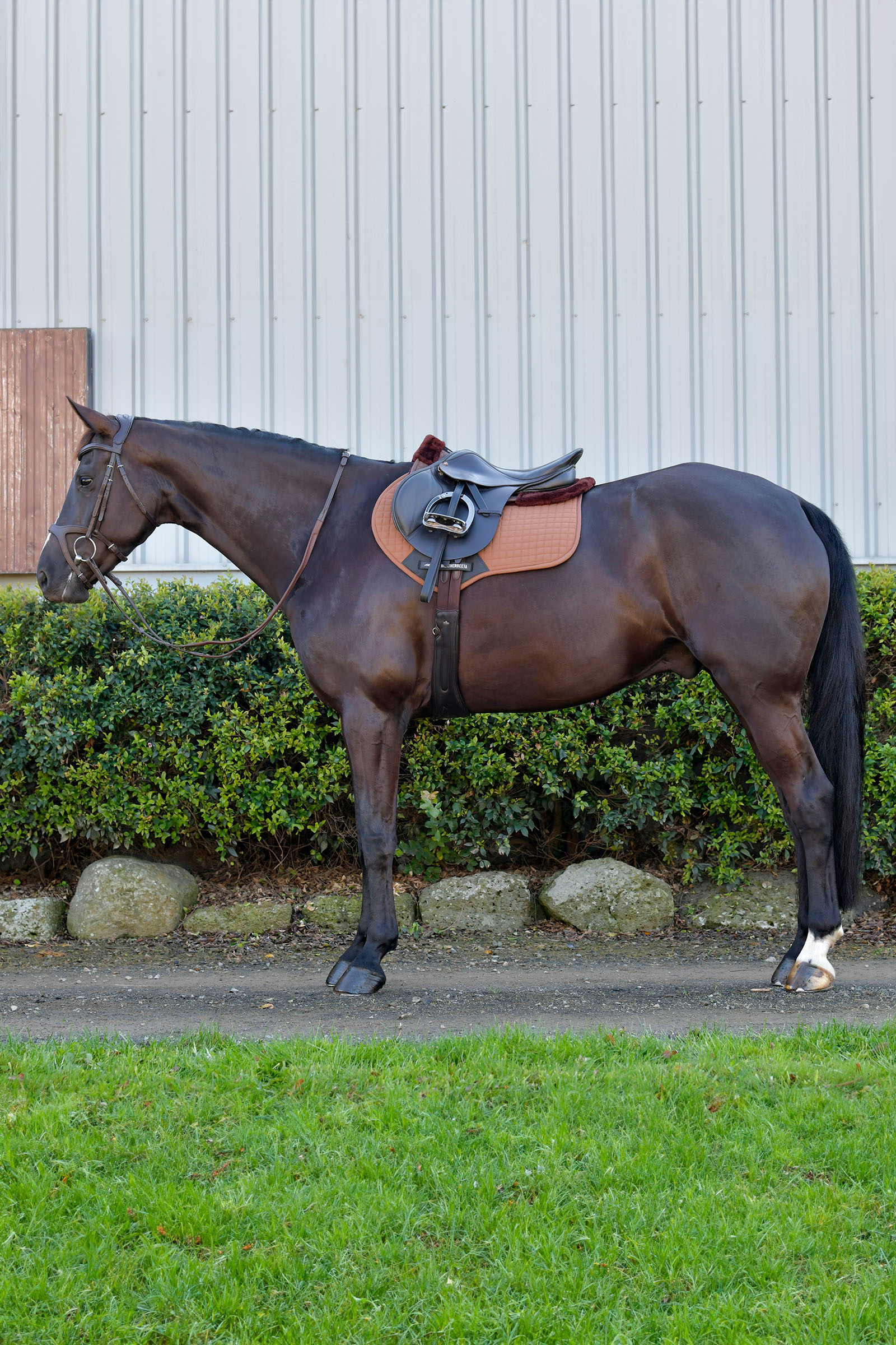 Weatherbeeta Prime Comfy Fleece hyppymuoto satulahuopa