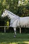 Horseware Rambo Optimo Protector Plus loimi