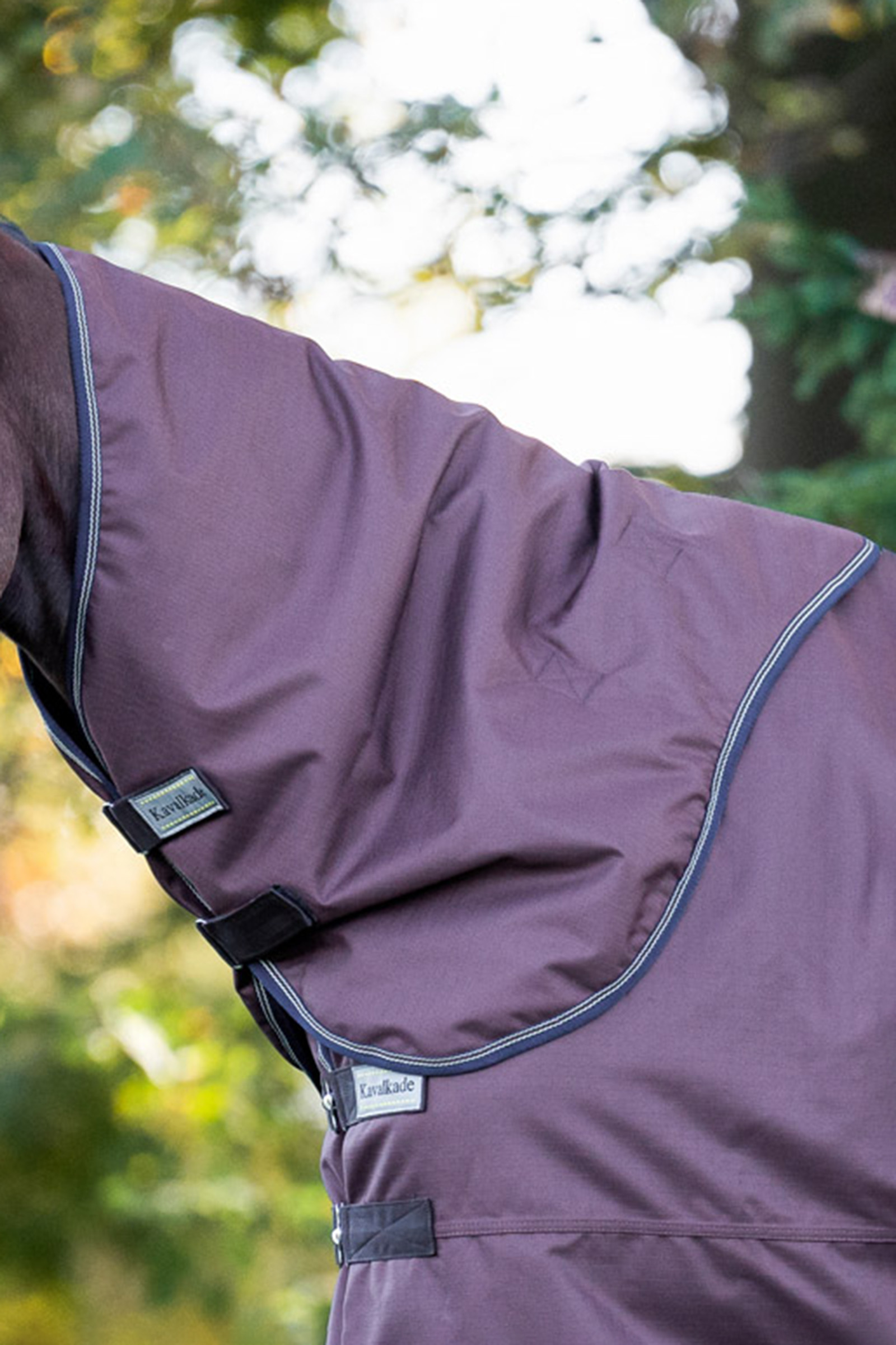 Brown Kavalkade kaulakappale Montreal ulkoloimeen, 100 g