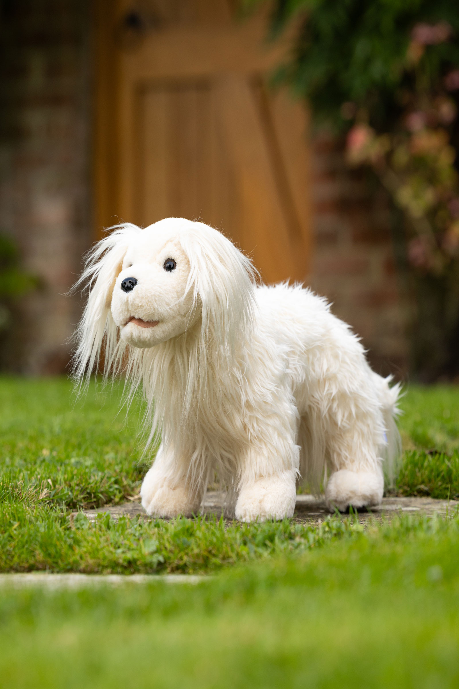 LeMieux Luna leikkikoiranpentu