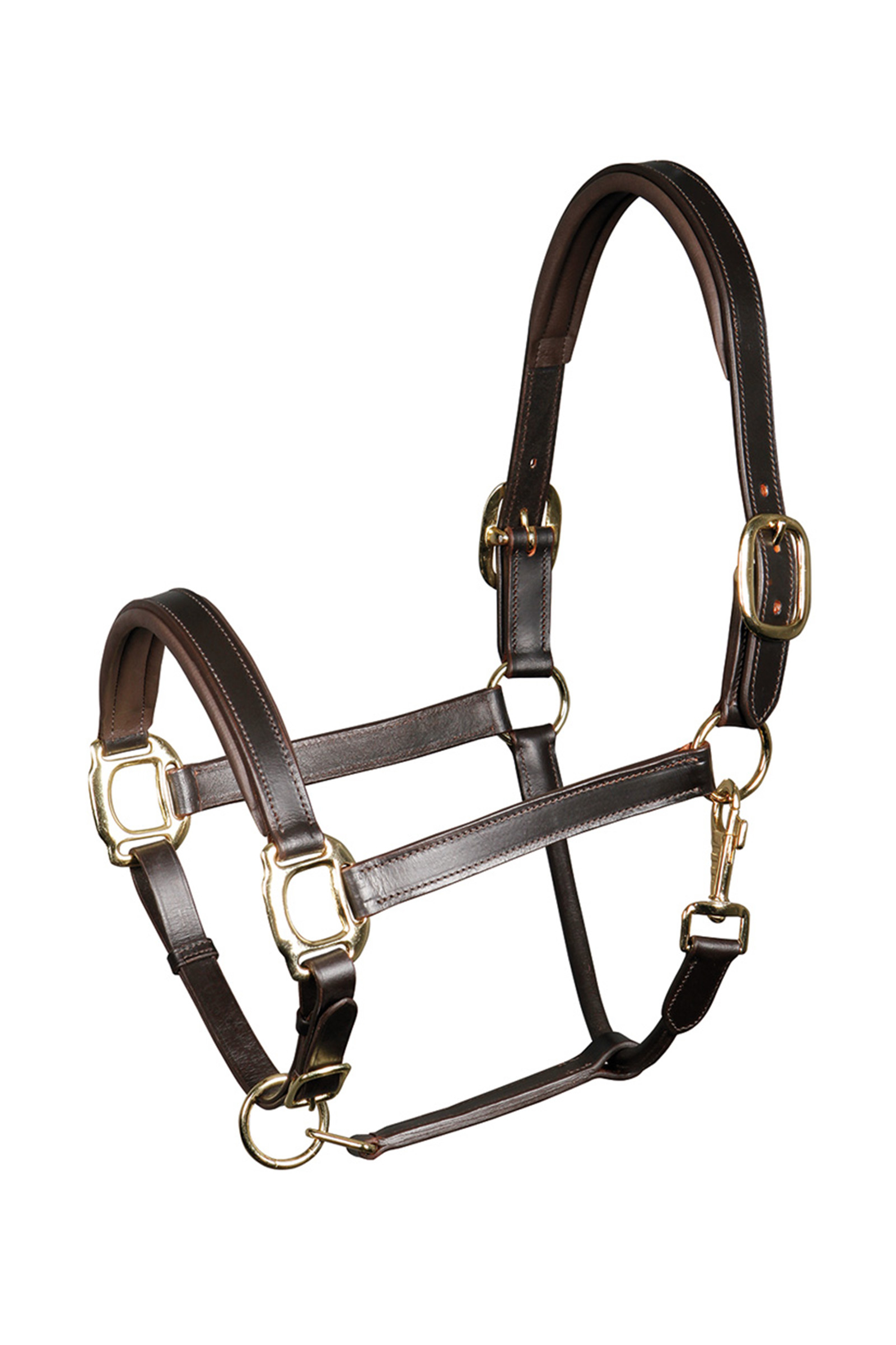 Harry's Horse Padded Leather Headcollar