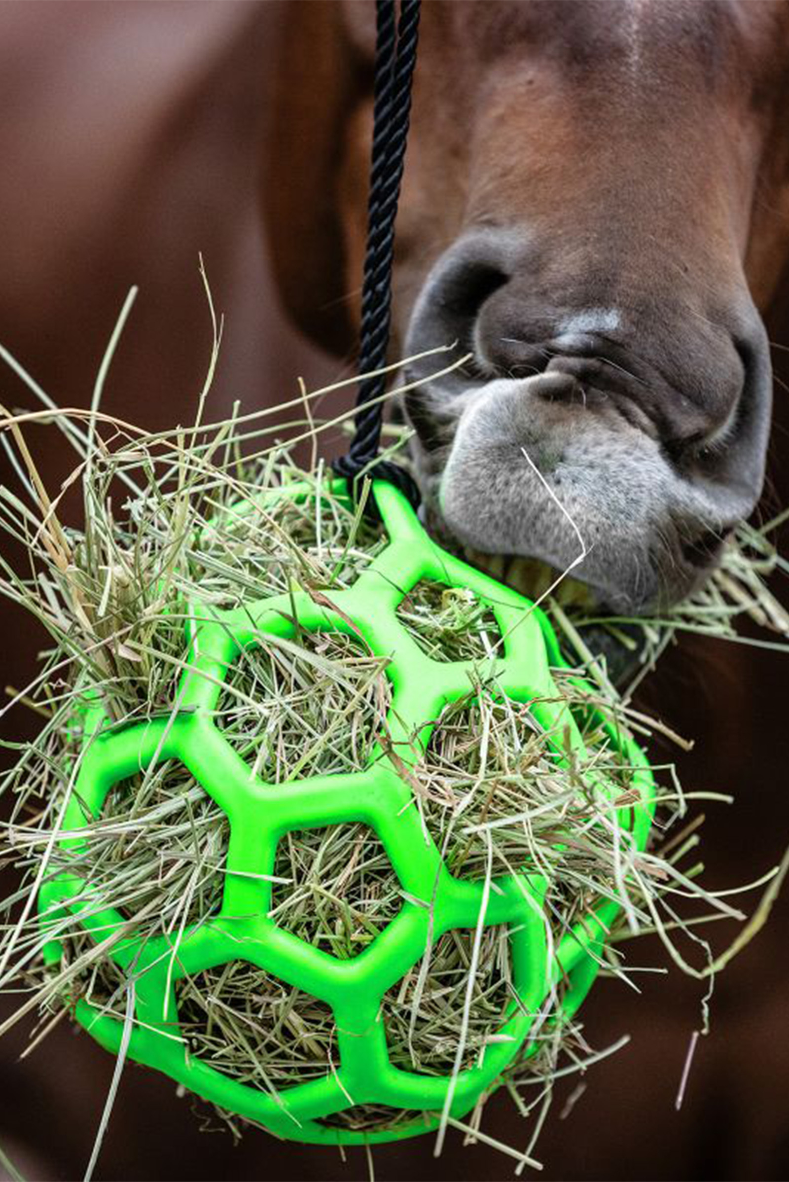 Waldhausen Heinäpallo