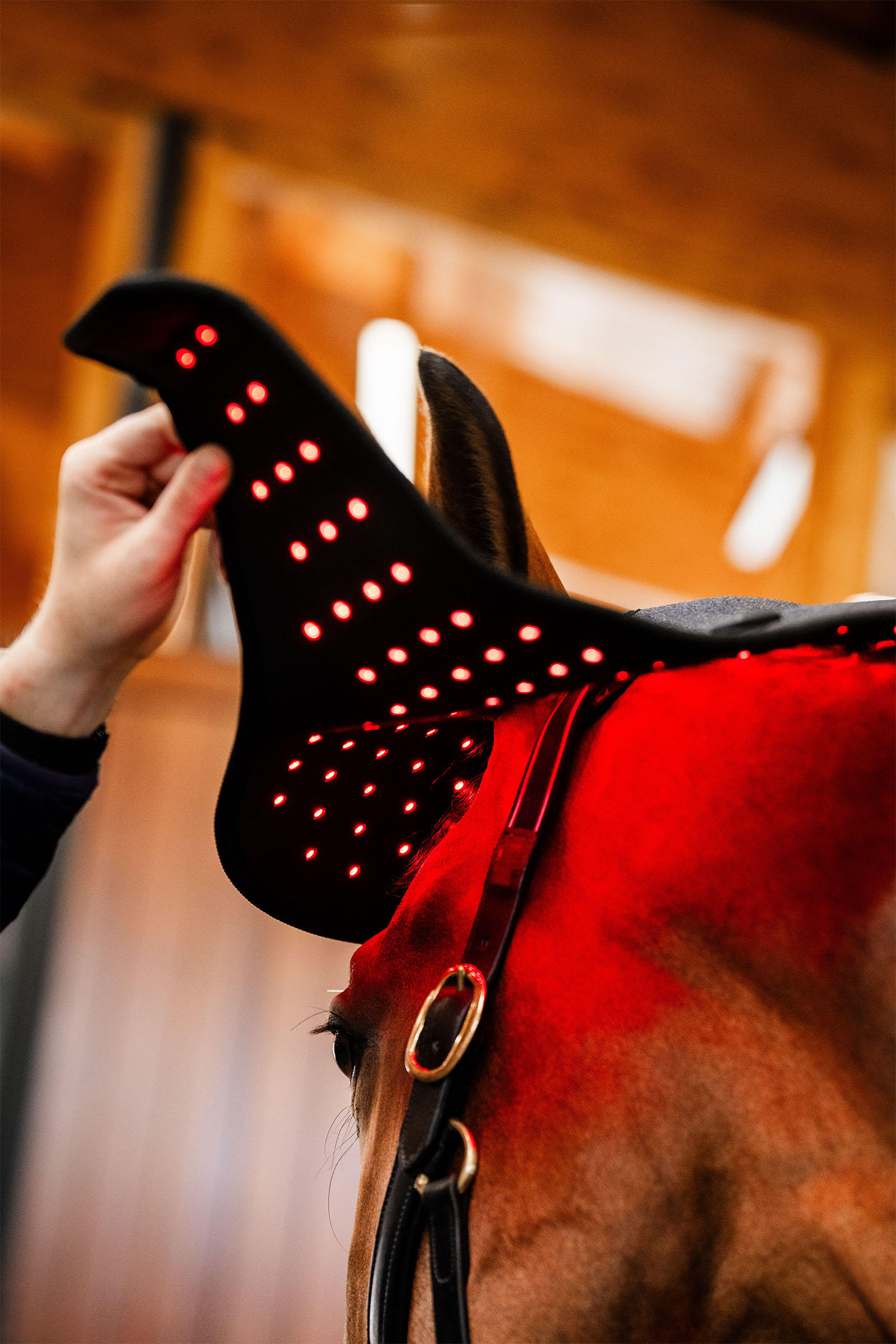 Horseware LED punavalohoitoinen niskahuppu