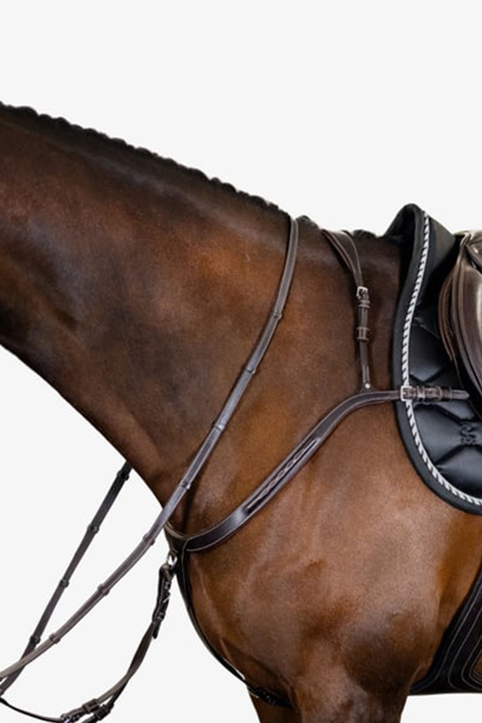 PS of Sweden rintaremmi Tokyo