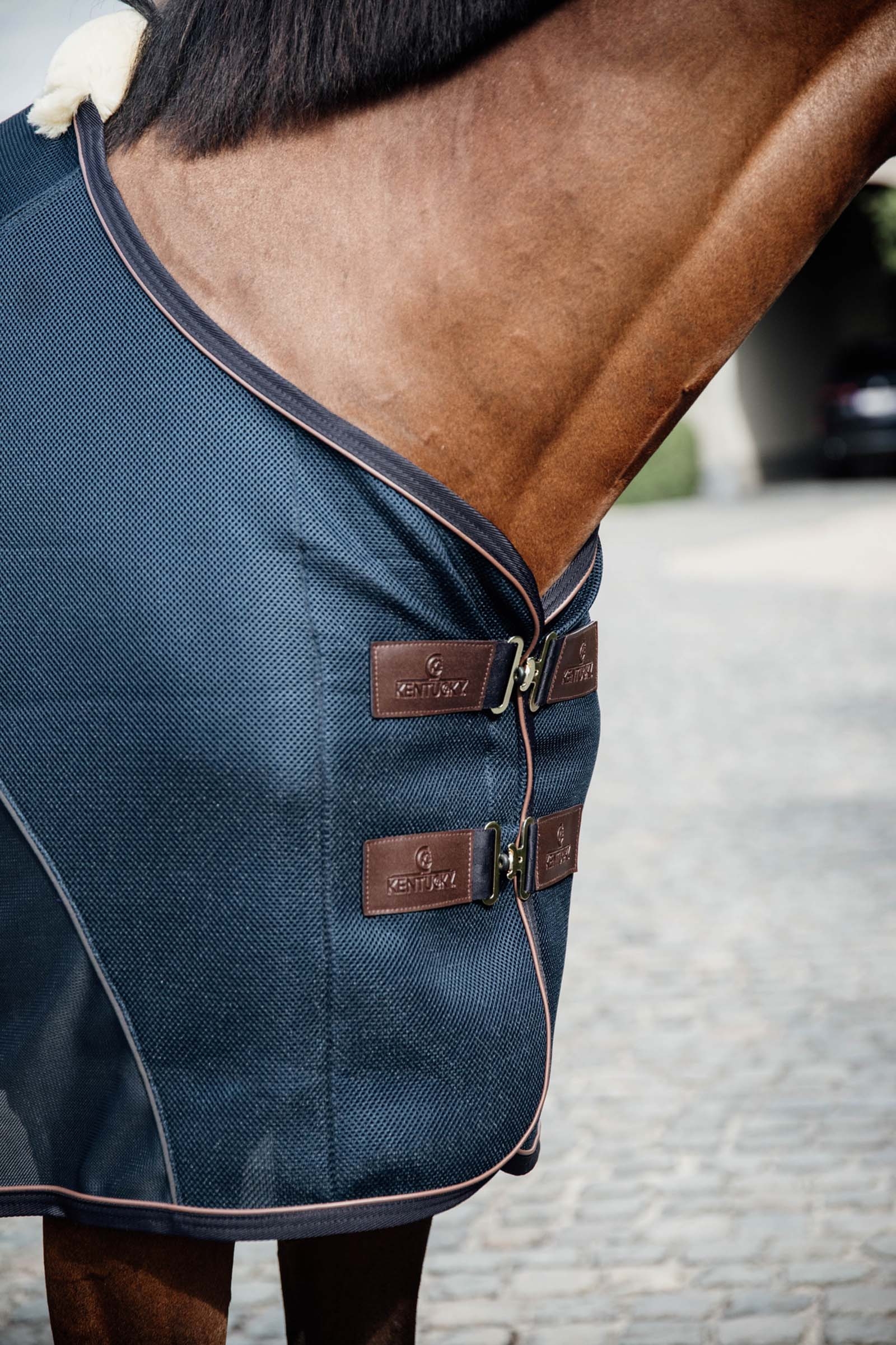 Kentucky Horsewear Mesh Combo hikiloimi