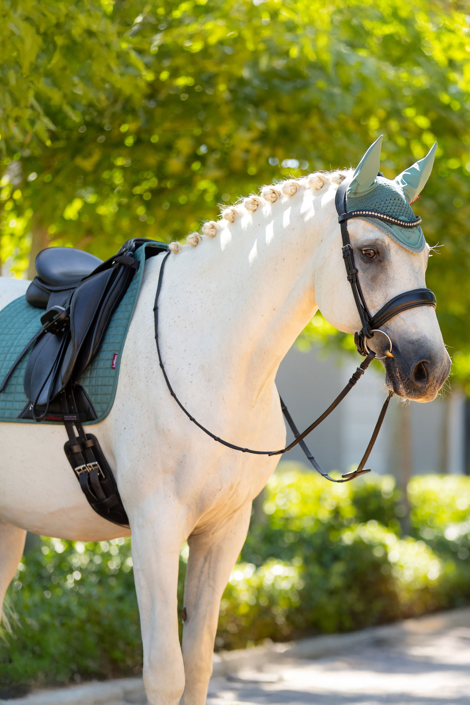 LeMieux Suede koulusatulahuopa