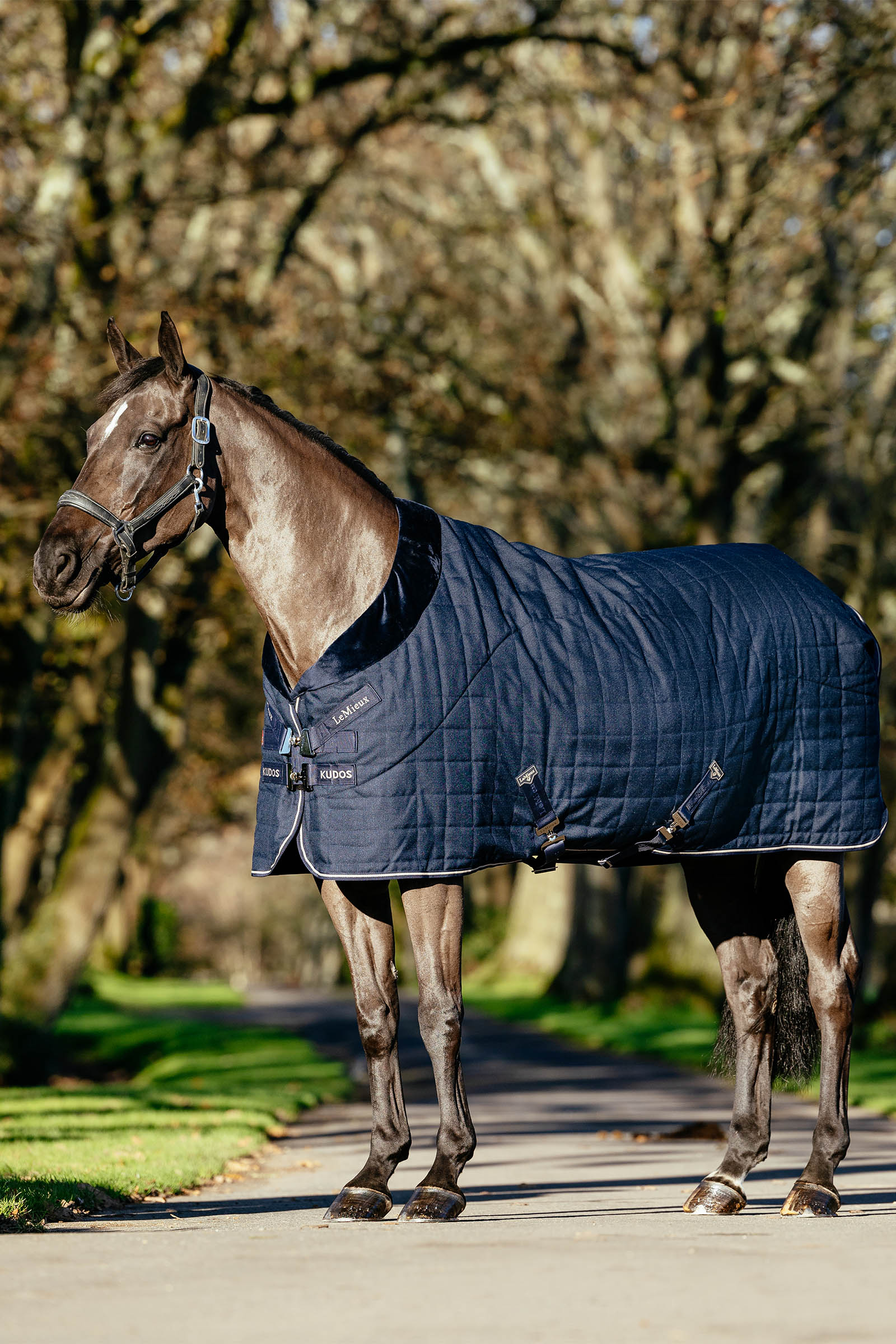 LeMieux Kudos Luxe vuorattu talliloimi, 100 g