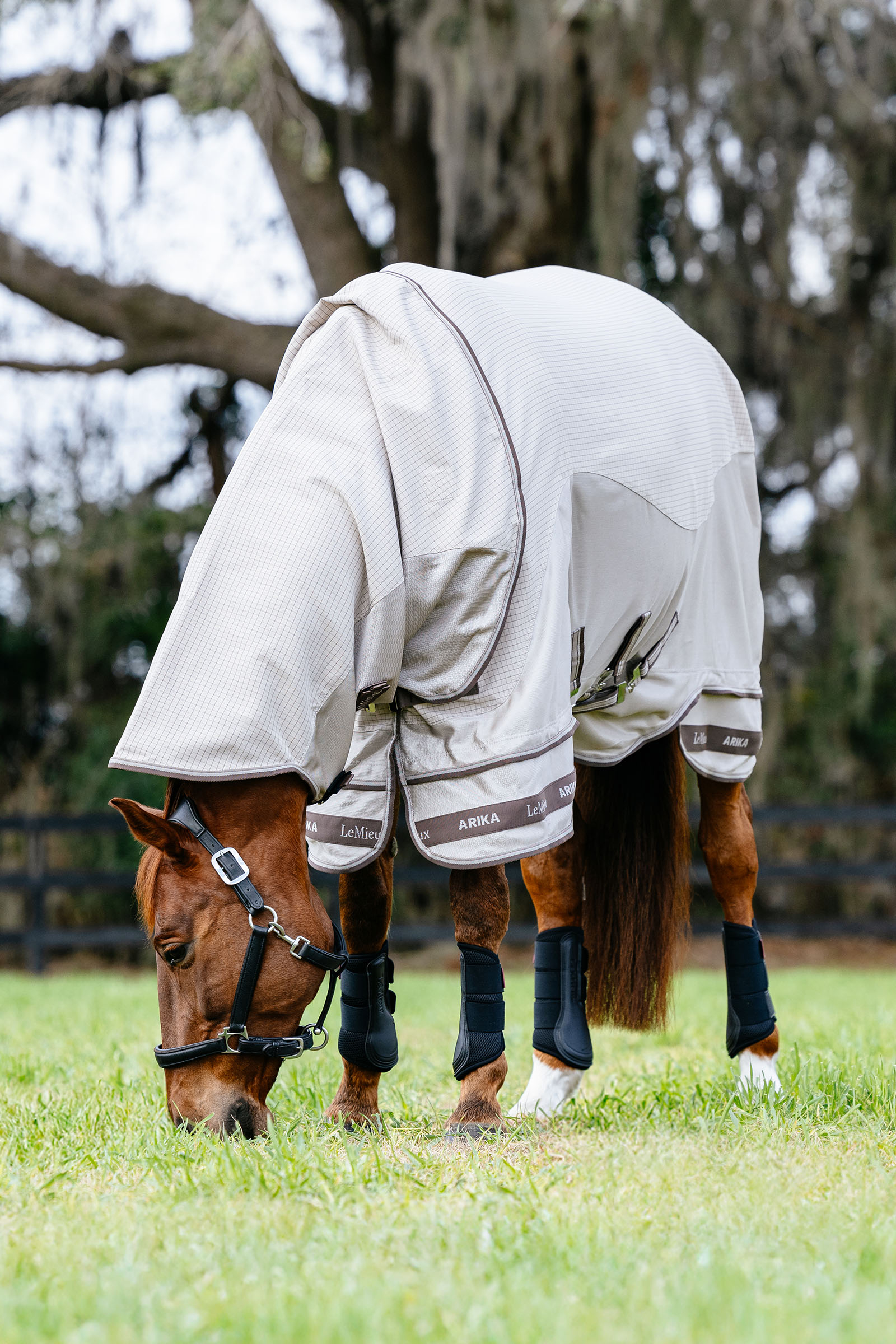 LeMieux Arika 450D Sunstopper ulkoloimi irrotettavalla kaulaosalla, 0 g