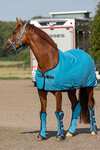 Horseware Amigo Jersey cooler-loimi