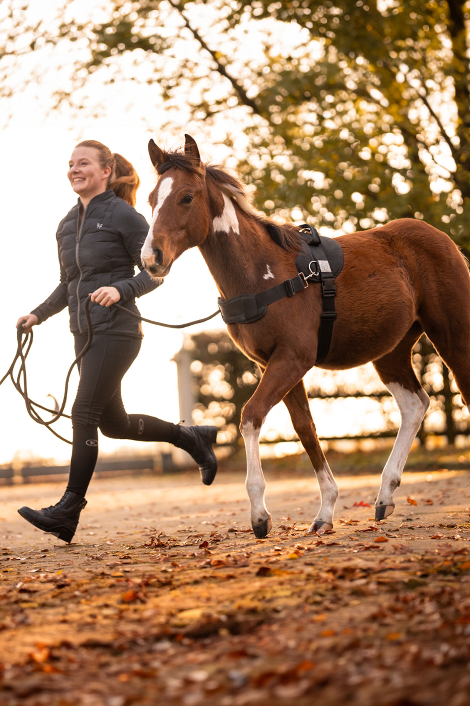 Kavalkade Foalmaster varsan valjaat kahvalla