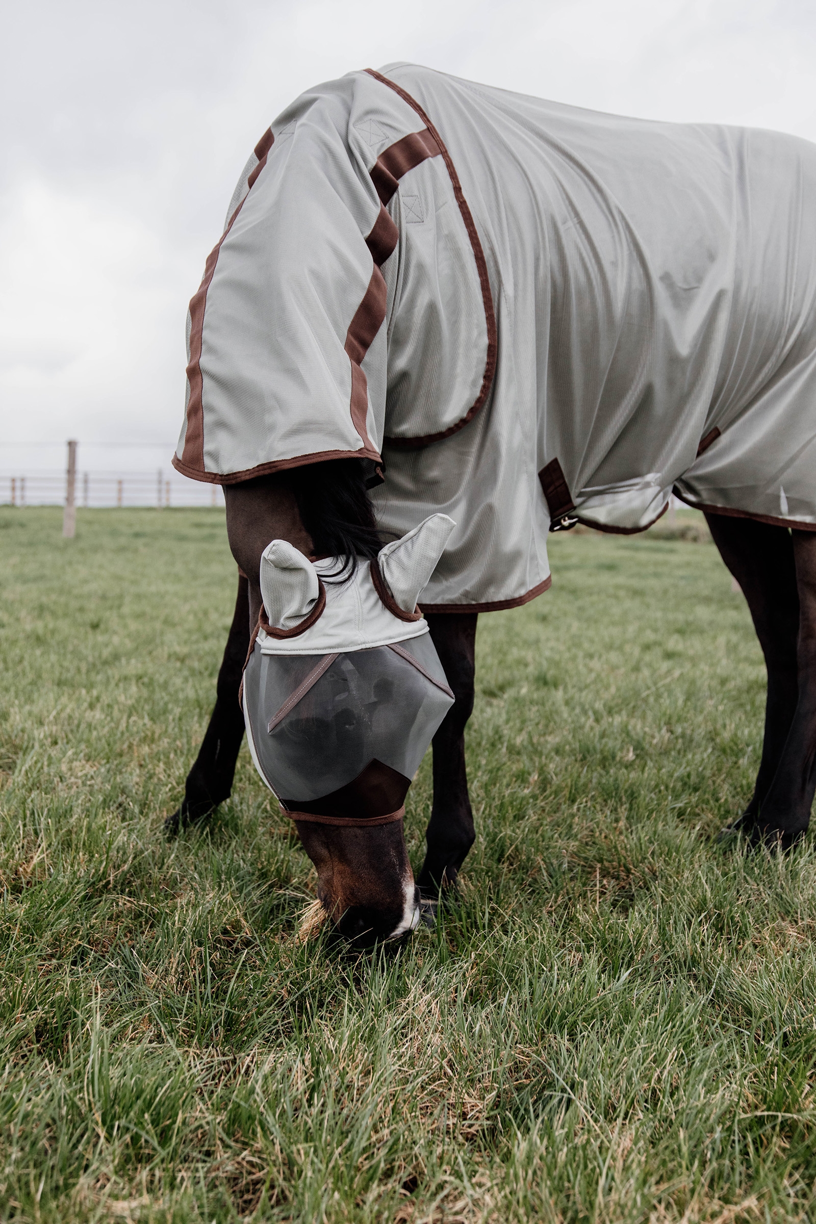 Kentucky Horsewear Classic Mesh hyönteisloimi