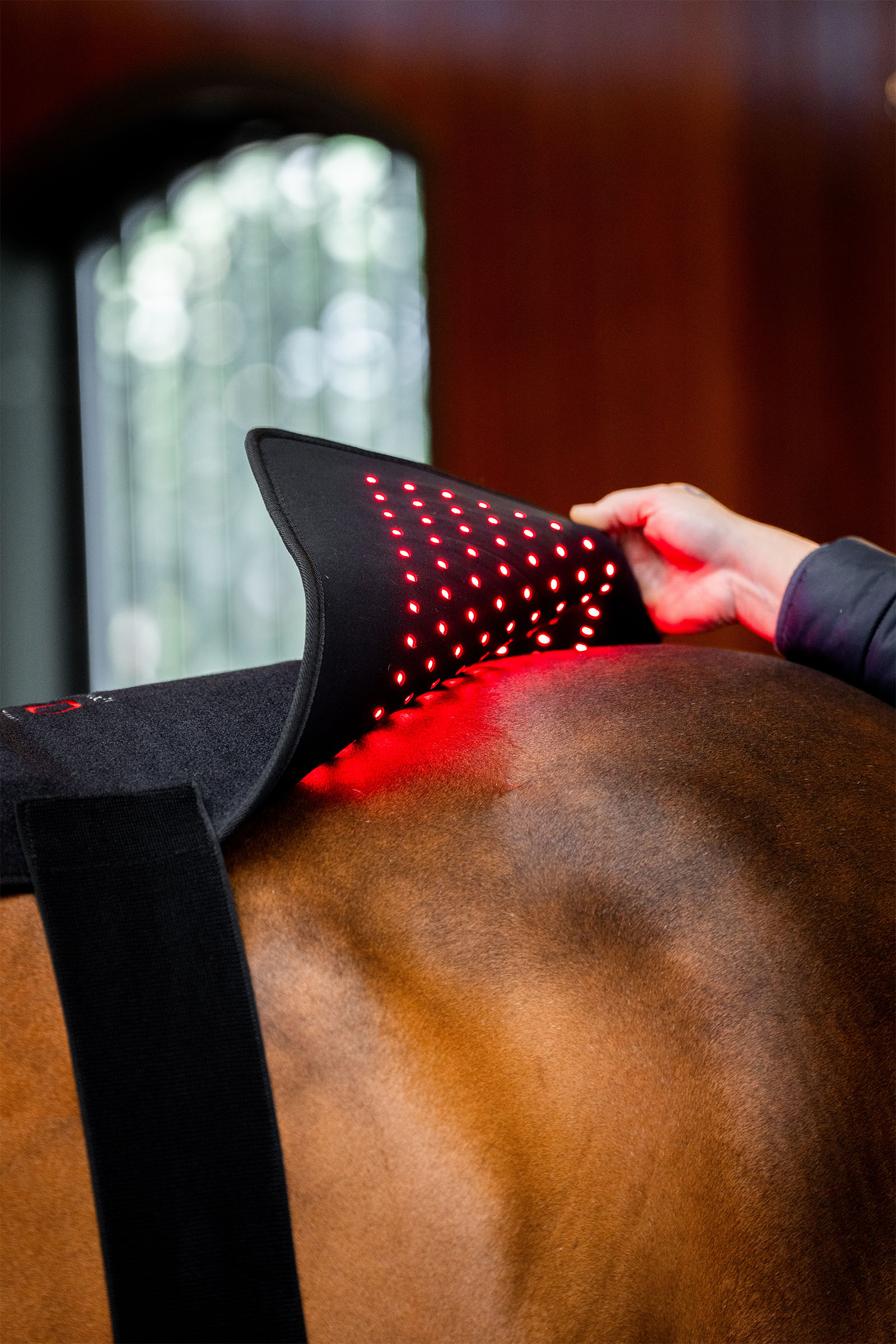 Horseware LED punavalohoitoinen Pad