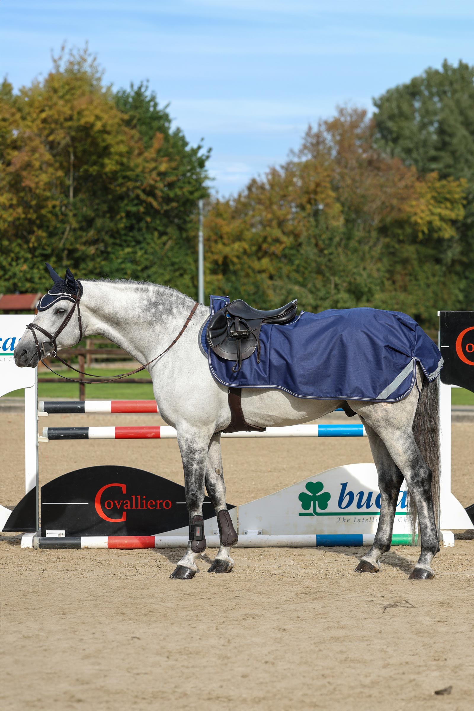 Bucas ratsastusloimi