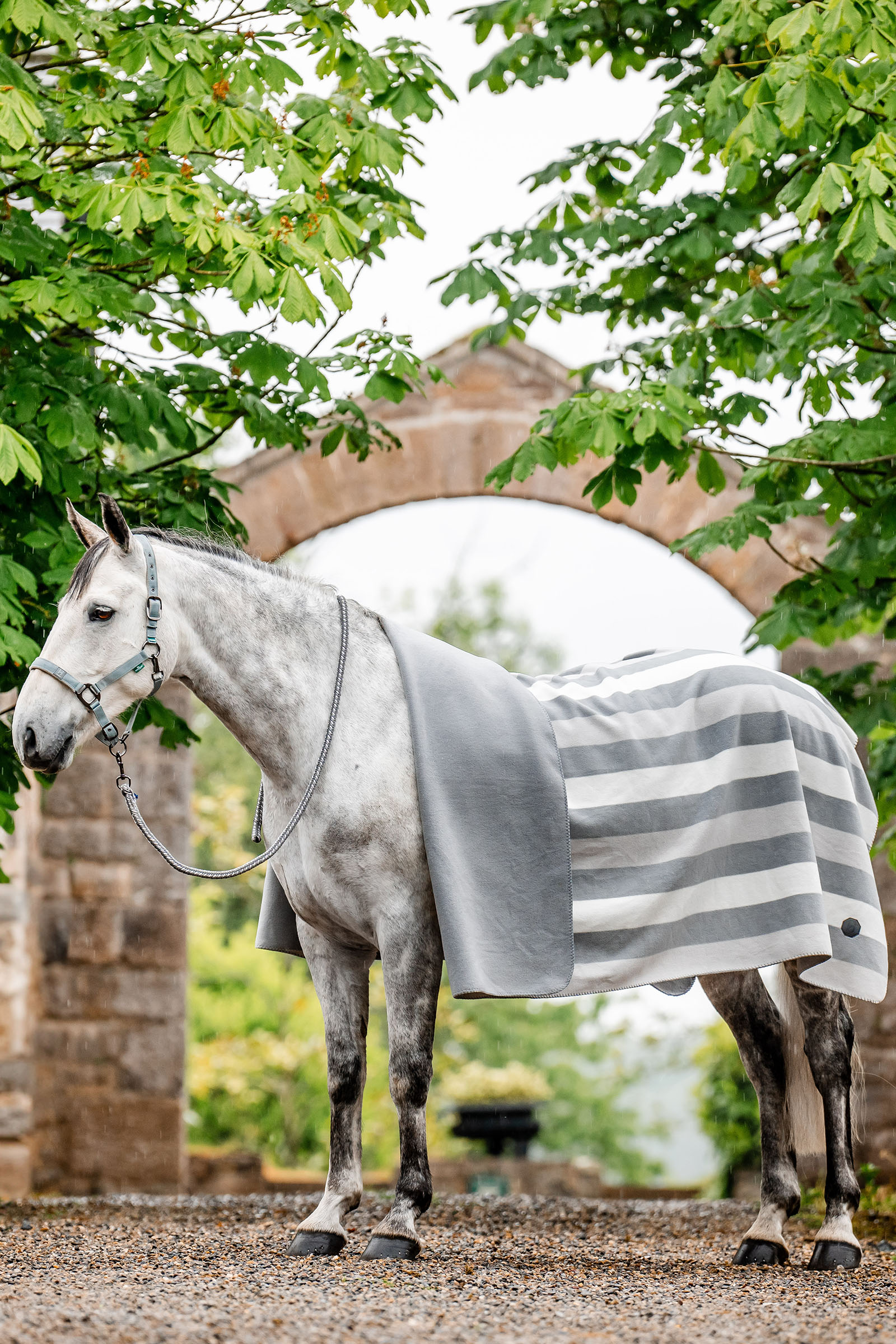 Witney Charcoal Horseware Newmarket Fleece Kuivatusloimet (Square)