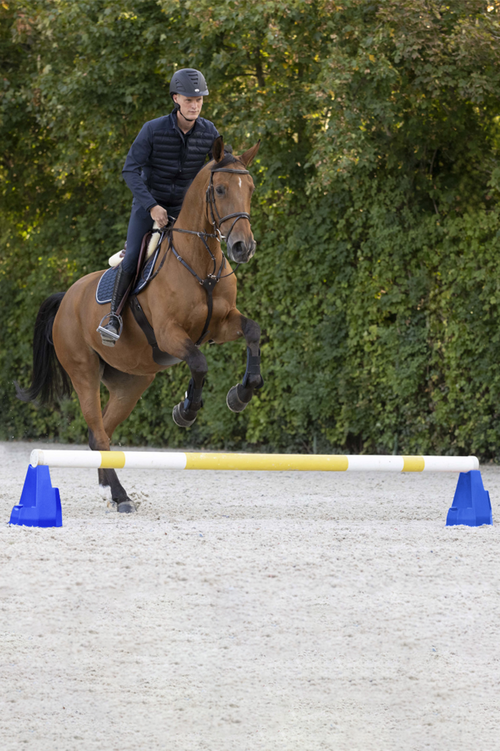 Waldhausen Cavaletti-lohko