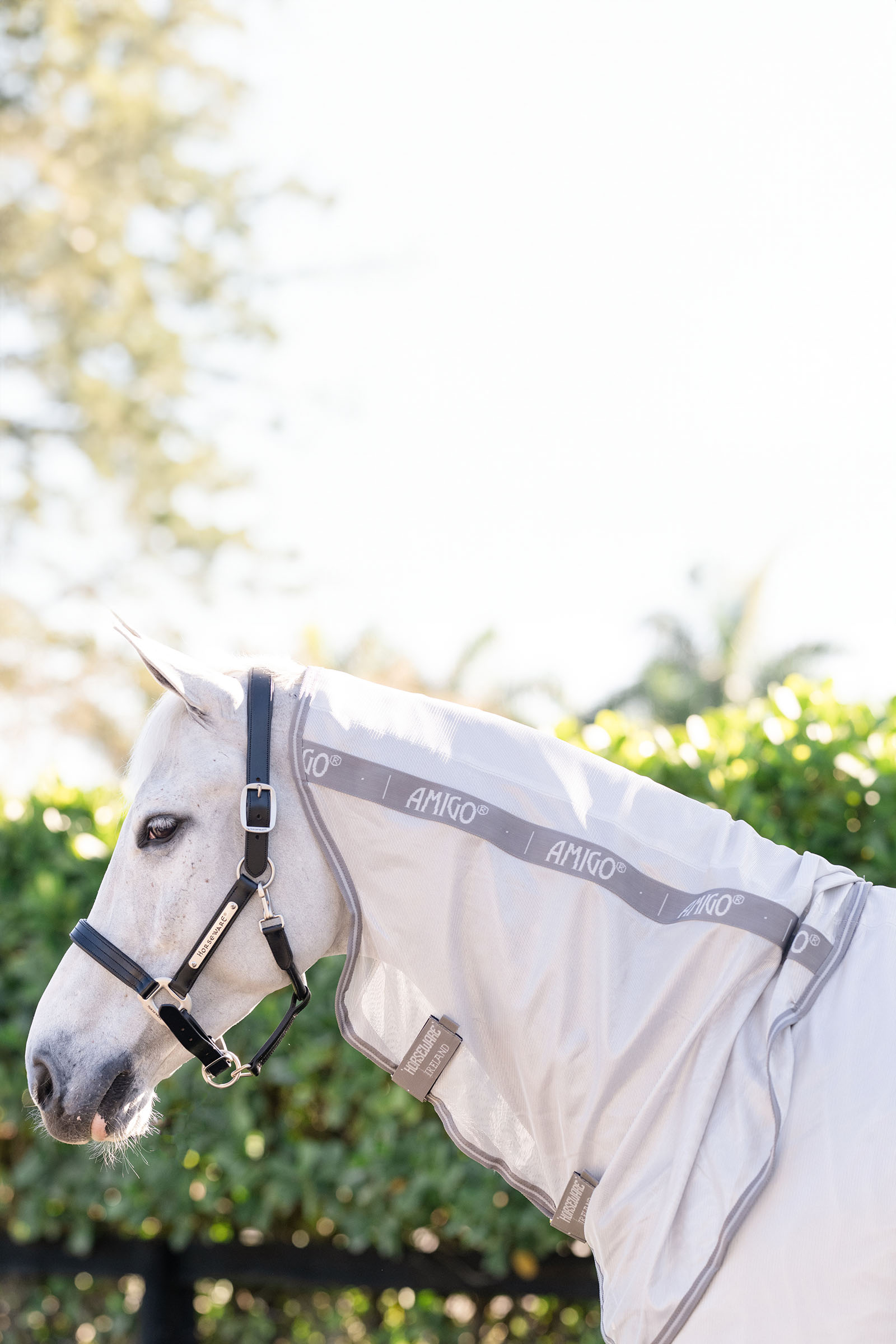 Horseware Amigo Yhdistetty Ötökkäloimi