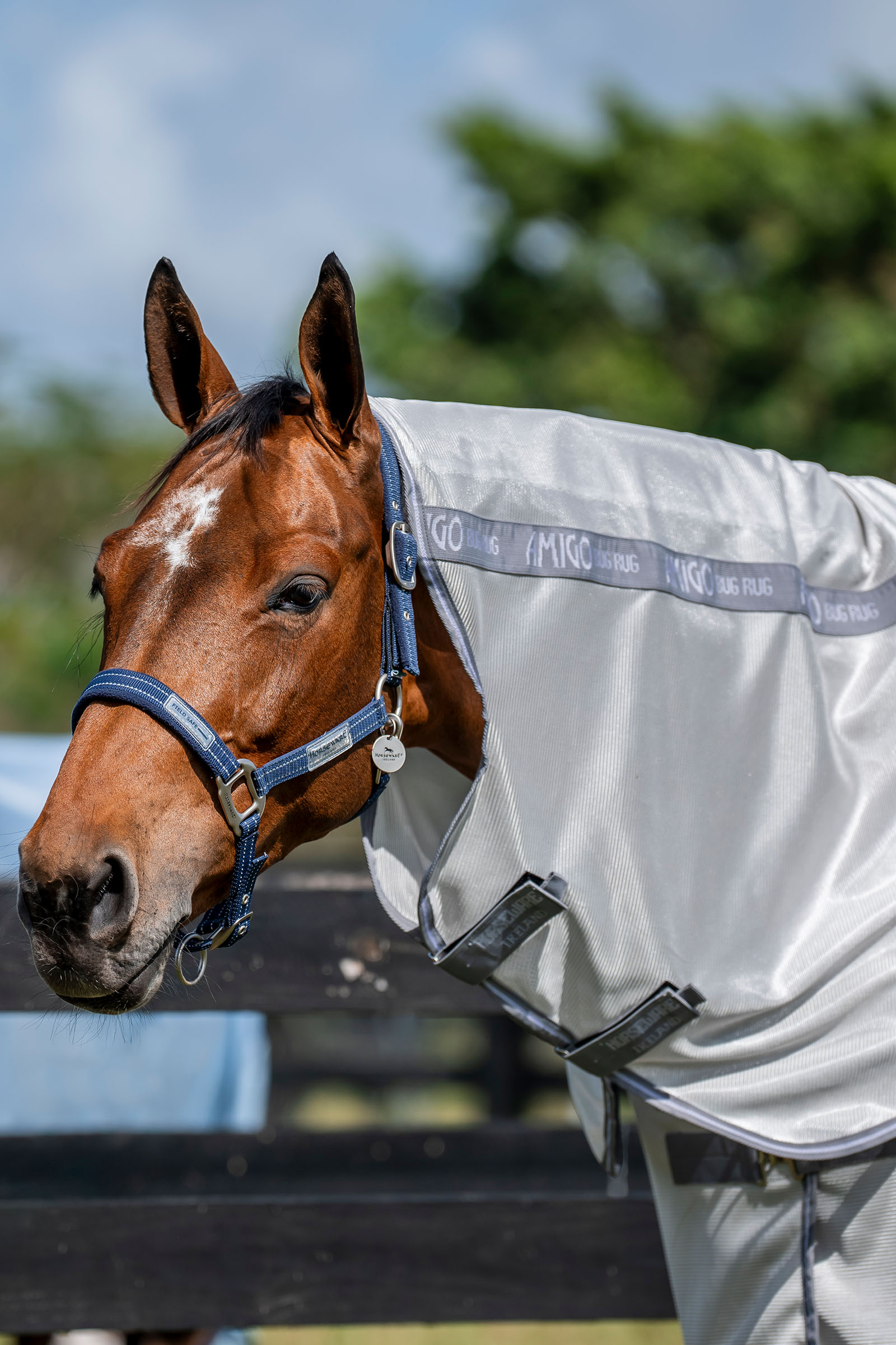 Horseware Amigo &Ouml;t&ouml;kk&auml;loimi Plus