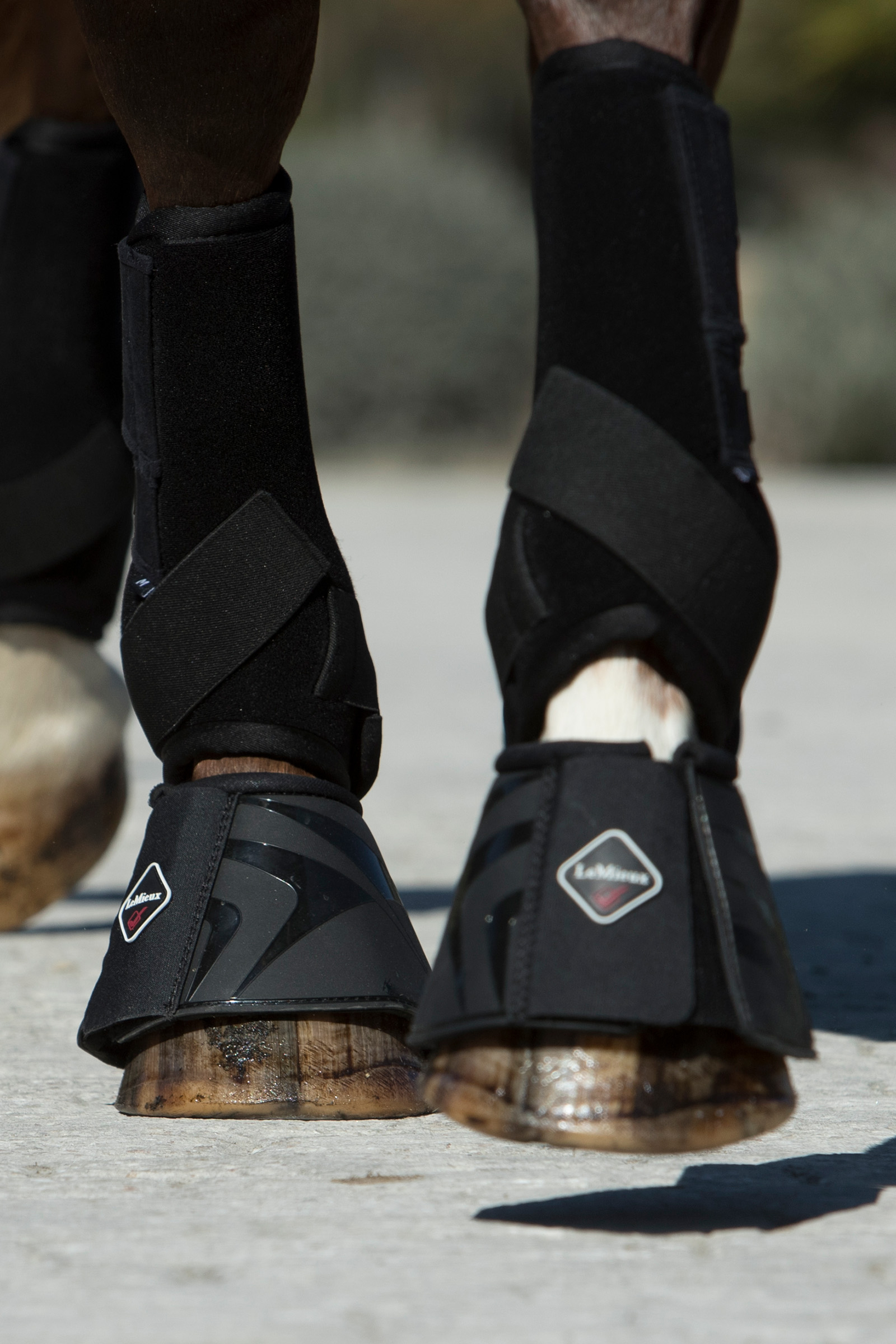 LeMieux Ultra Support Bootsit hevoselle