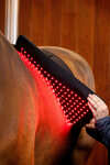 Horseware LED punavalohoitoinen Pad