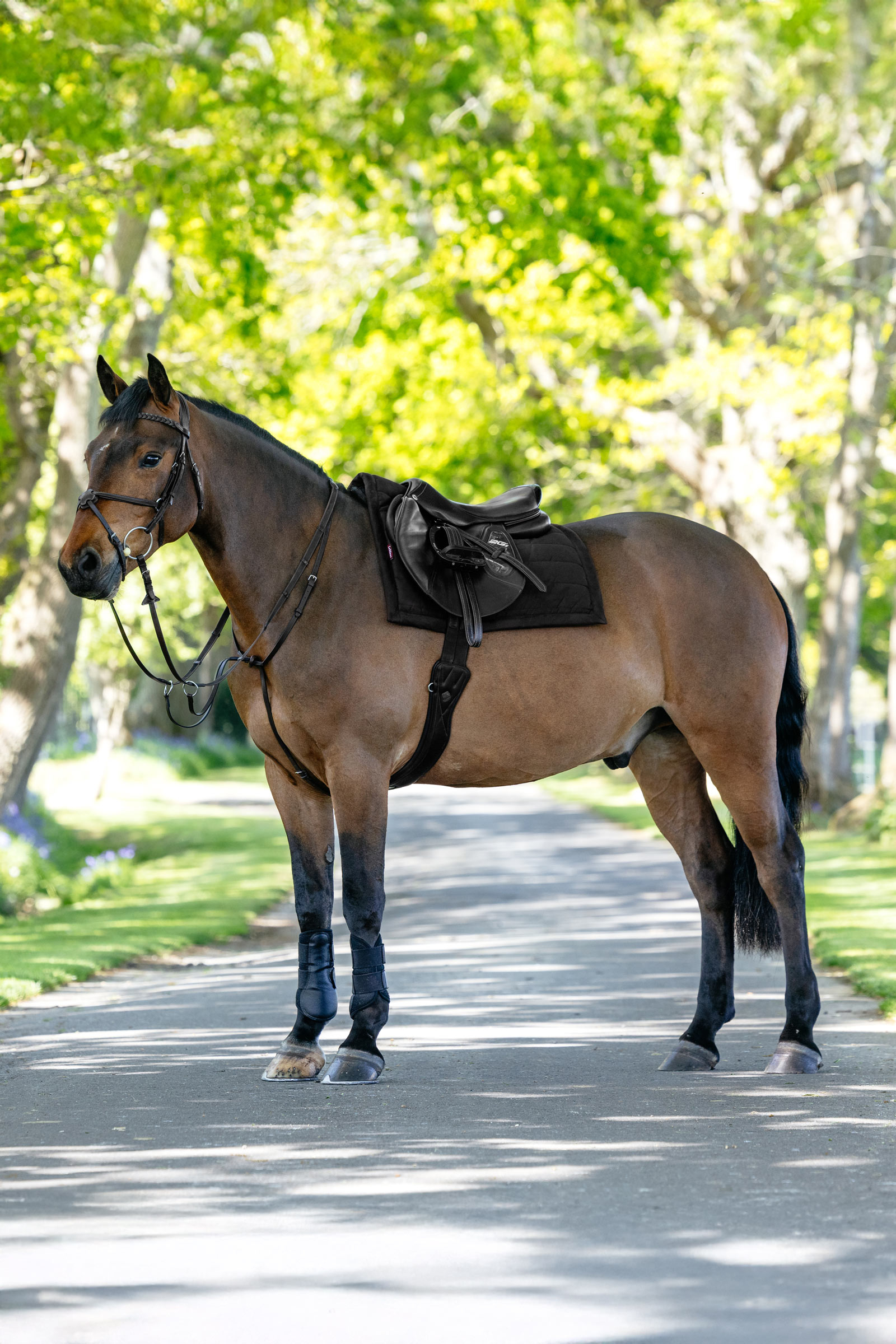 LeMieux Pillow pehmustettu satulahuopa yleisneli&ouml;