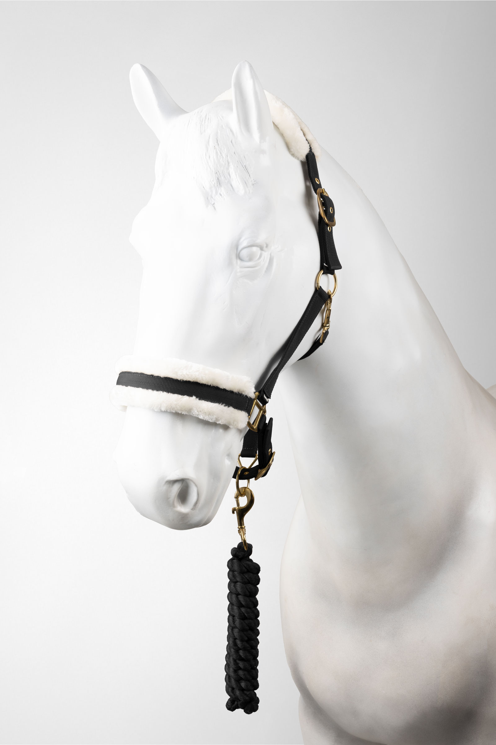 Black Horze riimu ja riimunnaru set