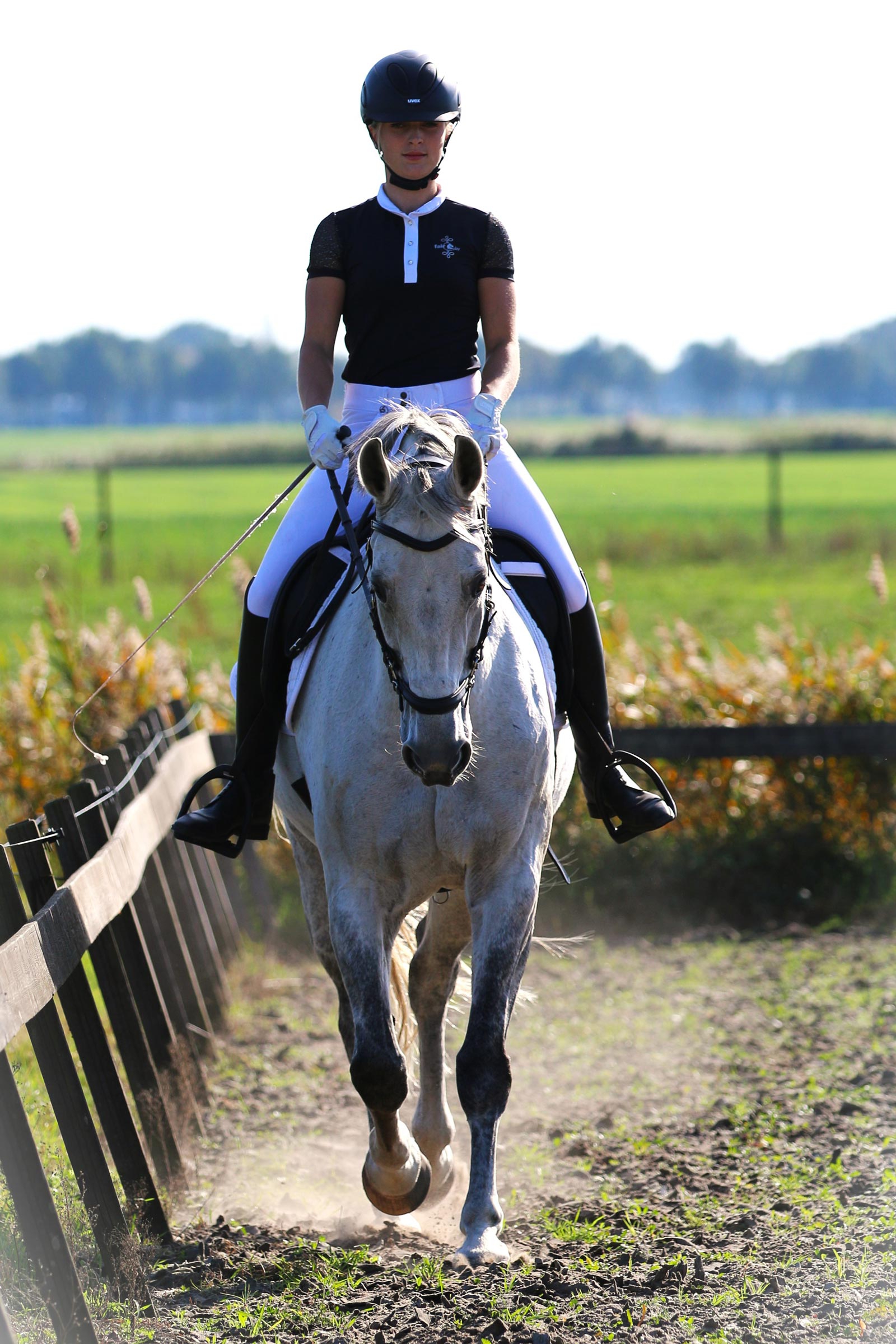 F.R.A. Freedom Riding Articles Calli hackamore-suitset ohjilla (System 2)