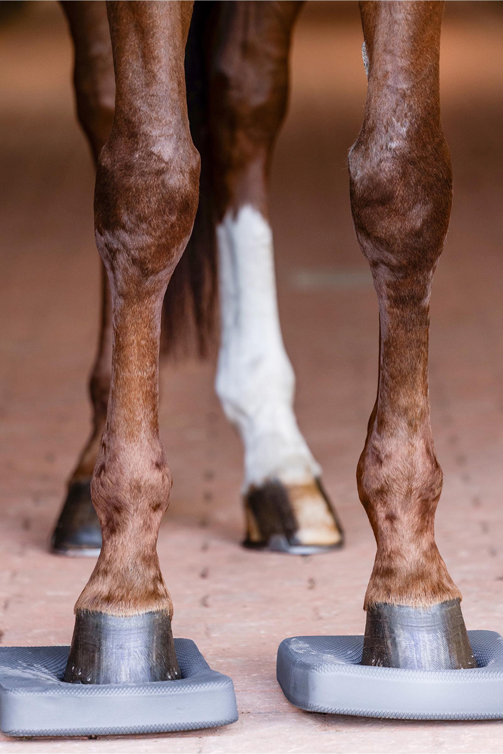 Waldhausen Health + Care Balance Padit