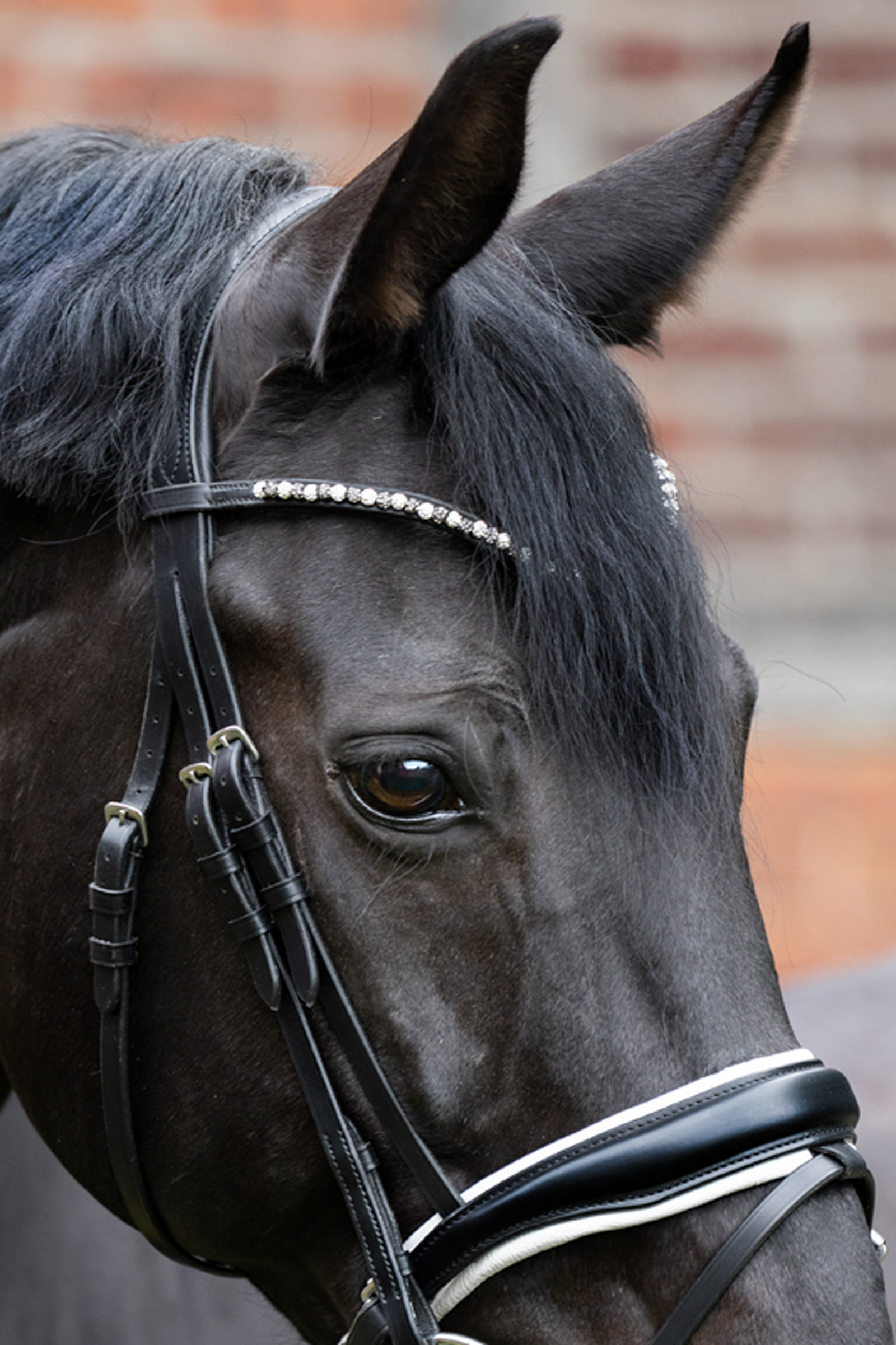 Kavalkade Pila otsapanta