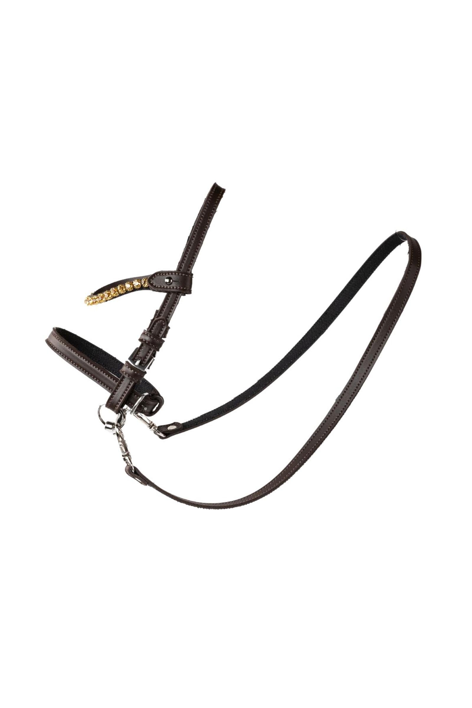 My Hobby Horse nahkasuitset kivill&auml;