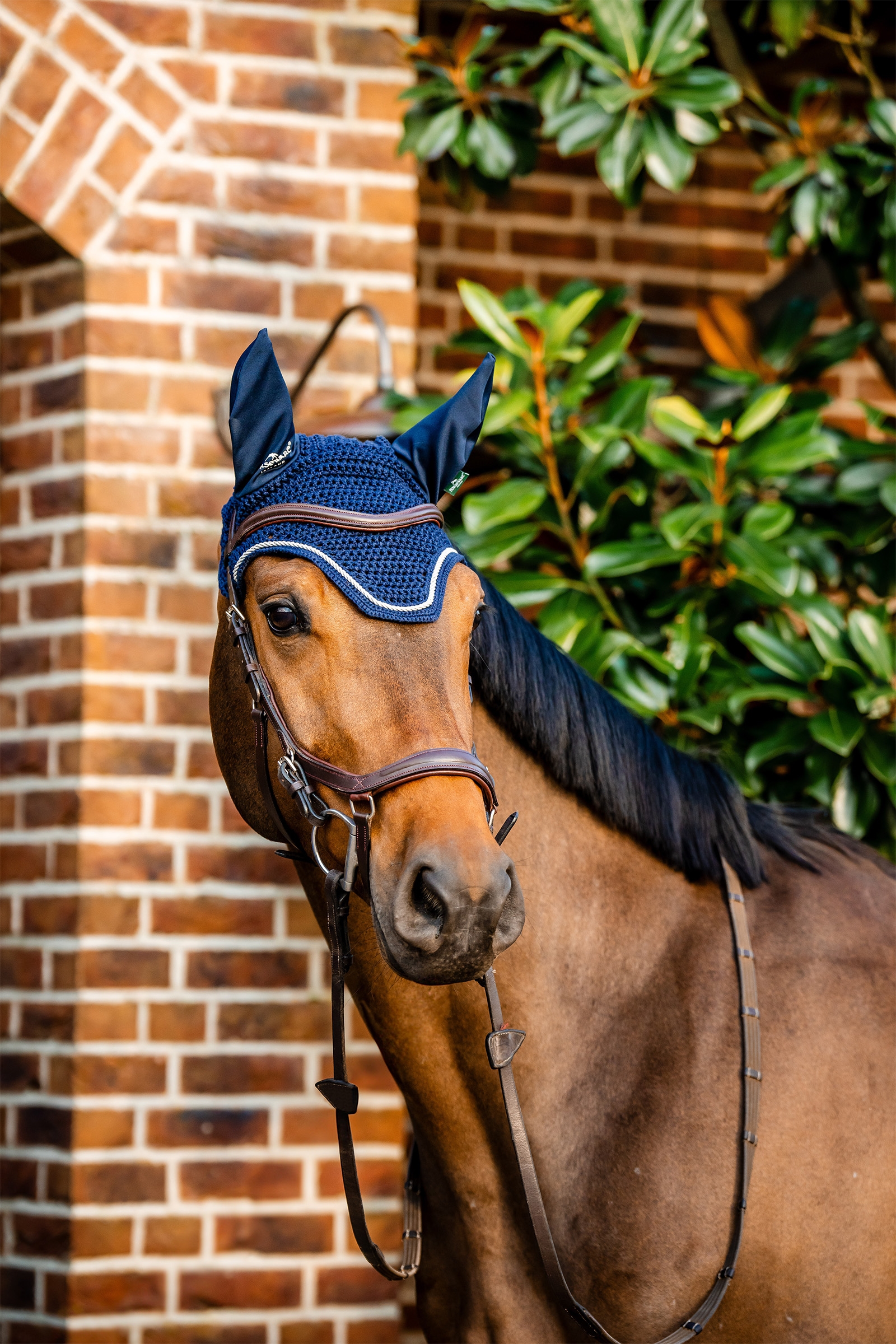 Horseware Signature hyttysverkko