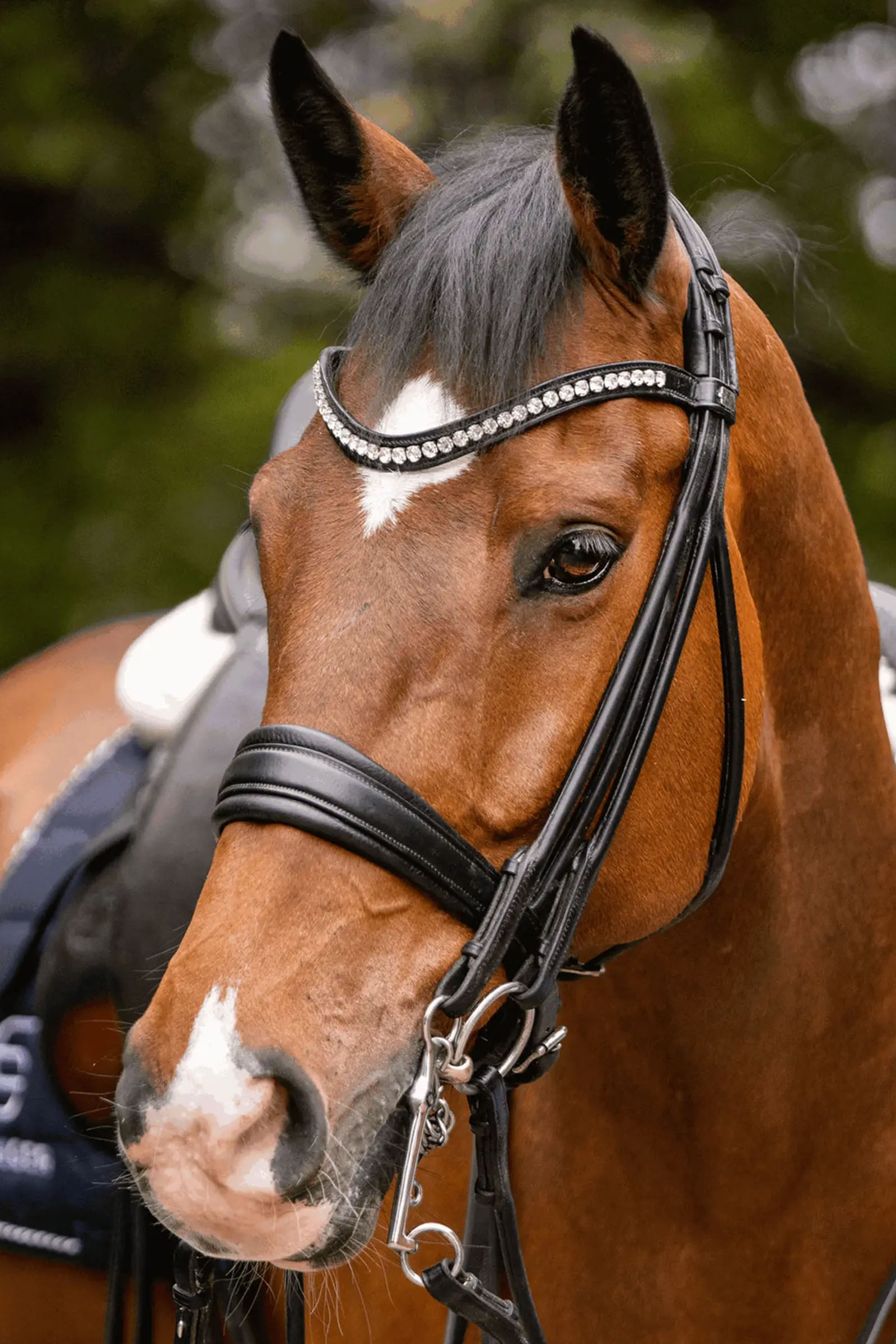 Sprenger Novocontact Weymouth 14mm Sensogan 7cm ruostumattomilla teräskuolaimilla