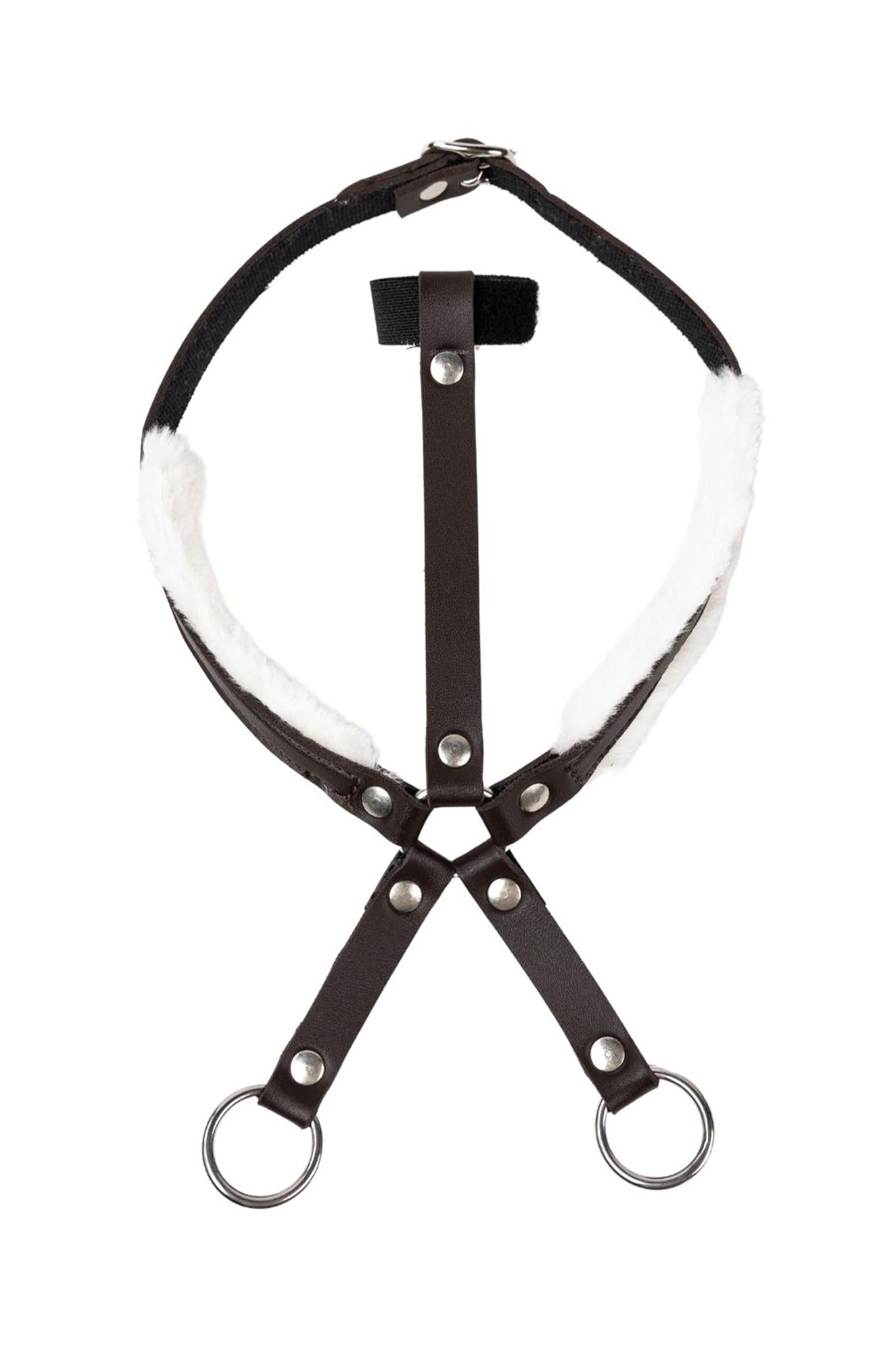 My Hobby Horse martingaali