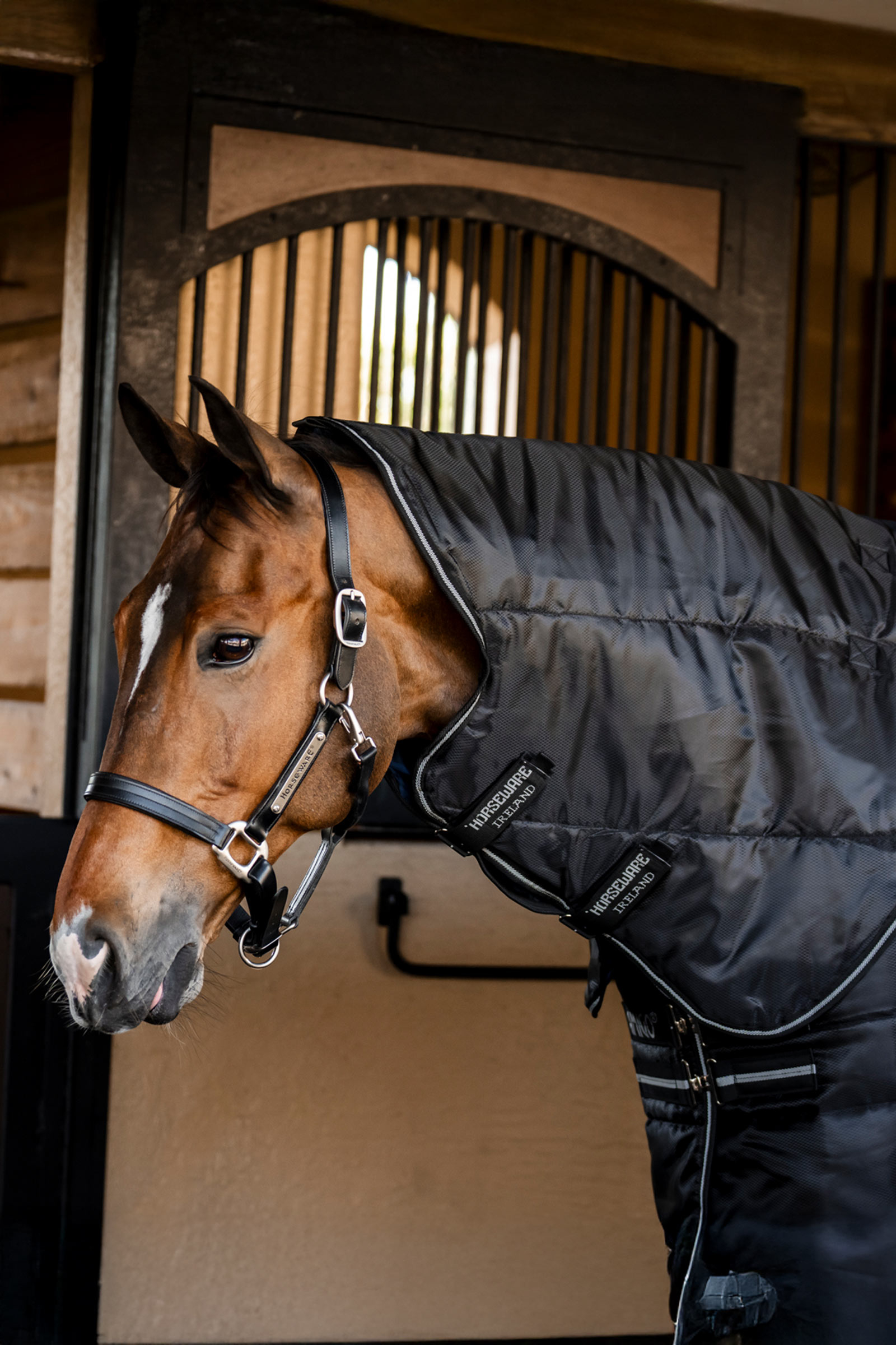 Horseware Amigo Ripstop Insulator Plus talliloimi, 350 g