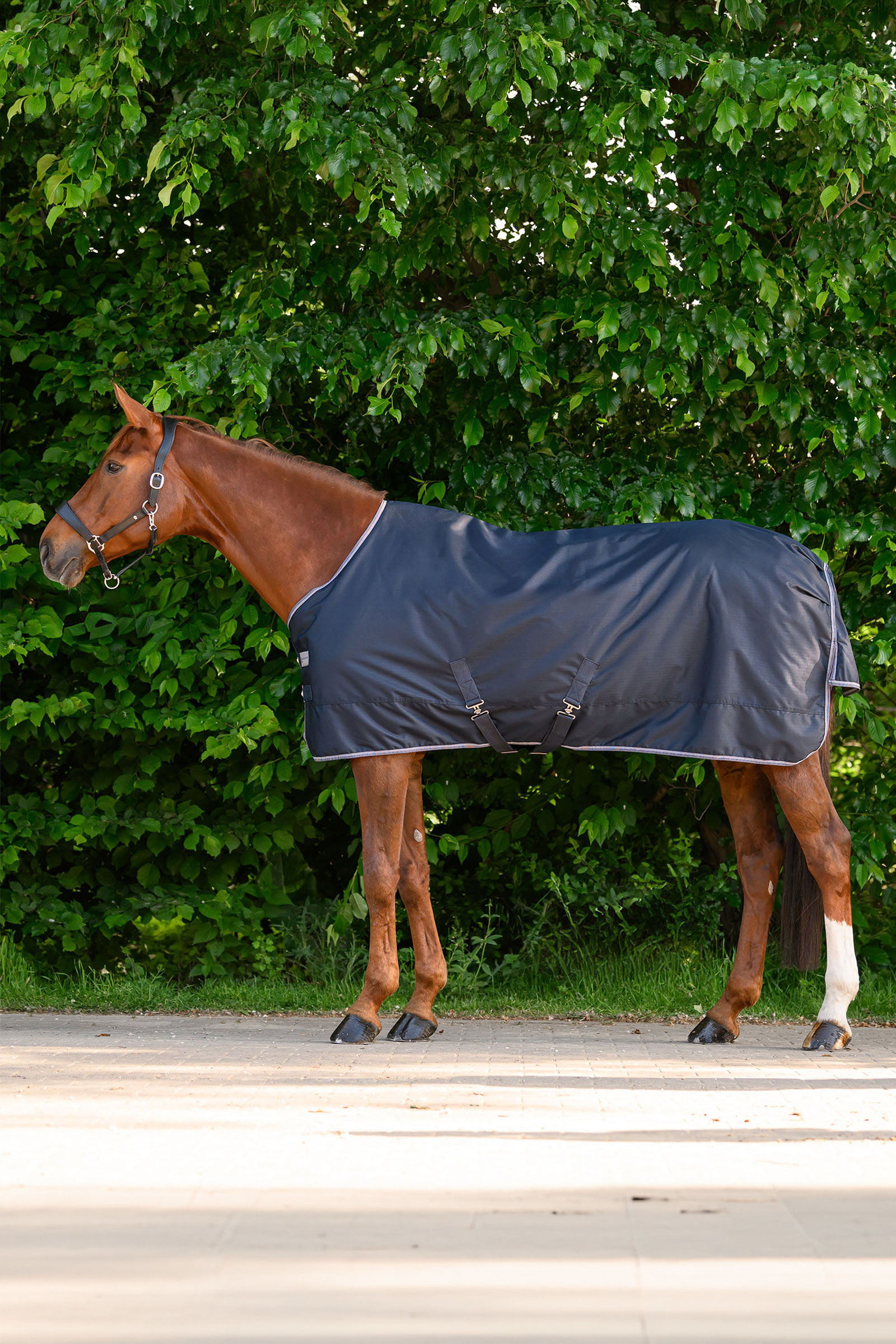 Waldhausen ECONOMIC ulkoloimi, 200g