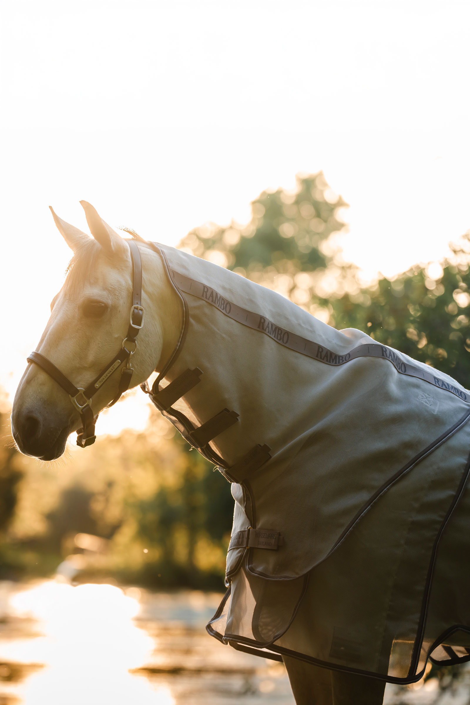 Horseware Rambo Optimo Protector Plus loimi