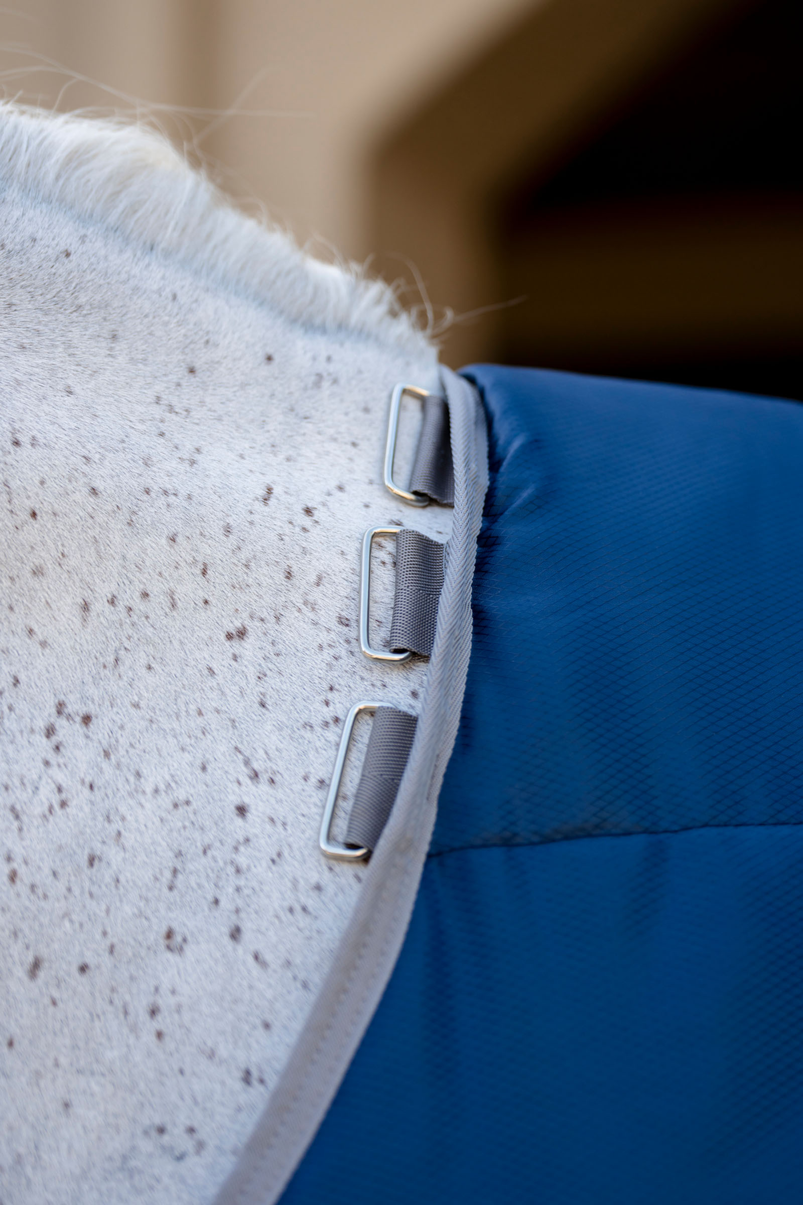 Horseware Amigo Ripstop Insulator Talliloimi, 50g