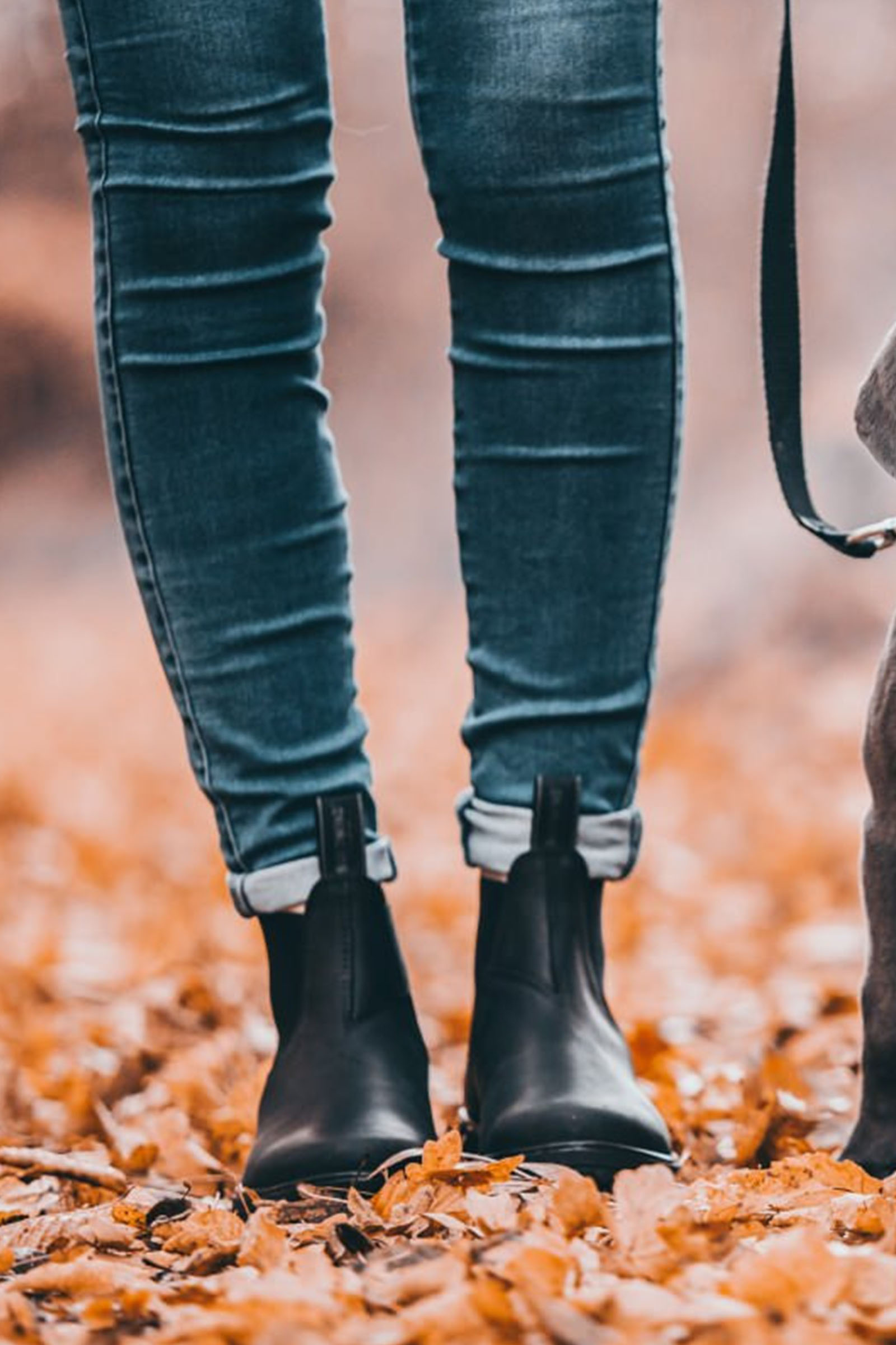 Suedwind Footwear 1888 Chelsea Jodhpur Keng&auml;t