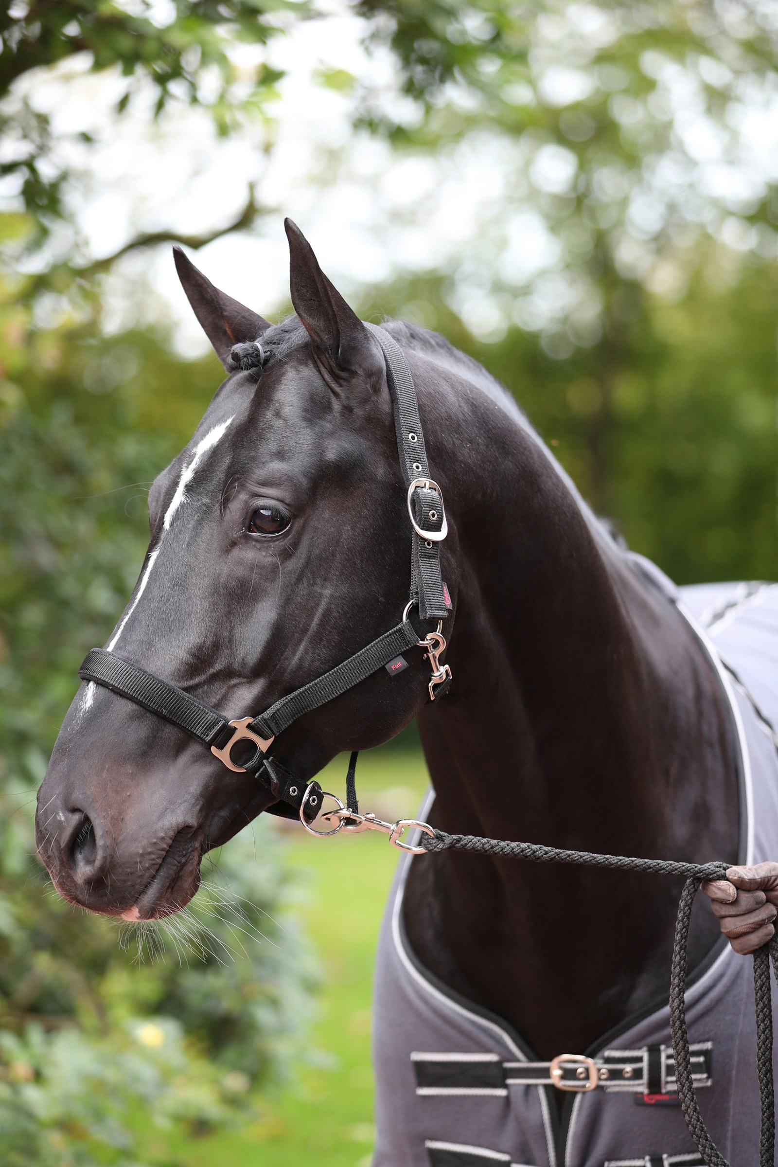 Covalliero Dexter riimu fleecevuorauksella
