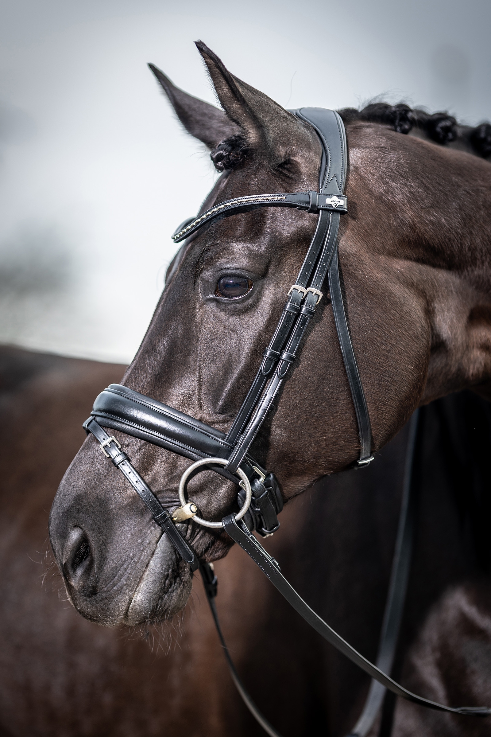 LeMieux Kudos Classic Dressage Bridle