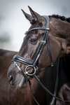 LeMieux Kudos Classic Dressage Bridle