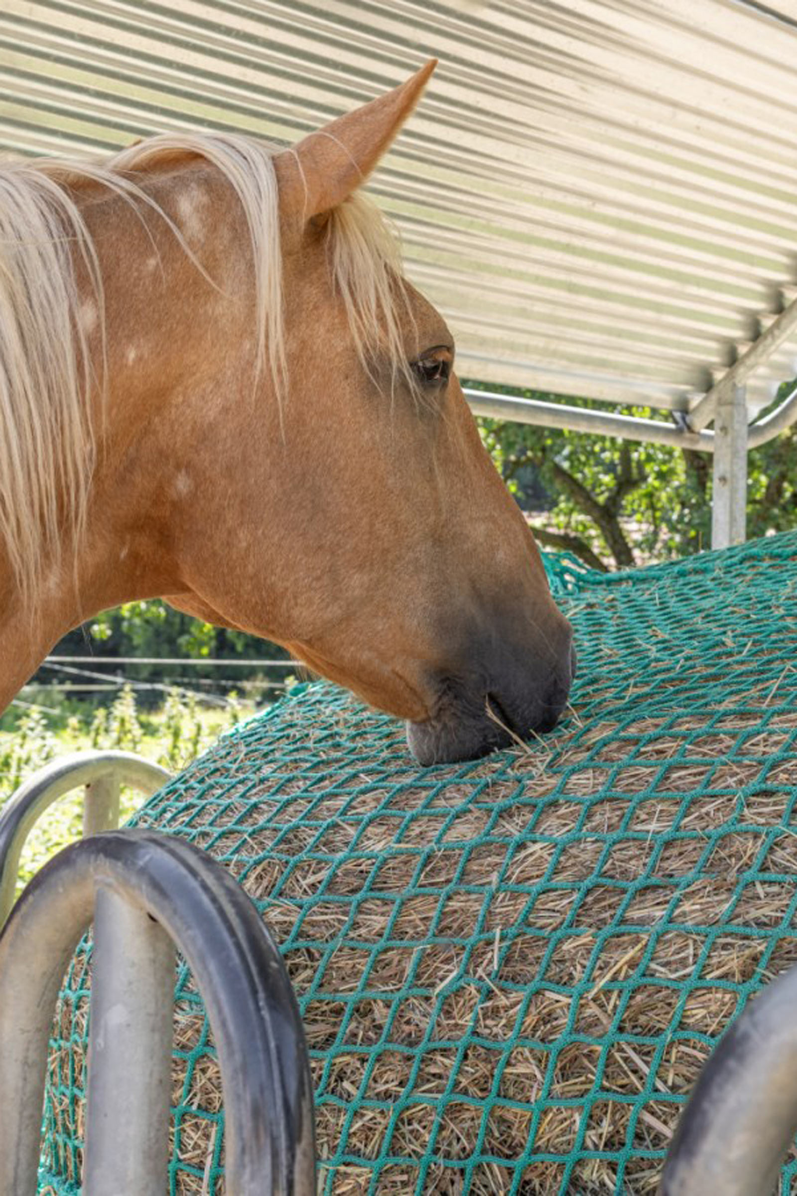Kerbl hein&auml;suoja py&ouml;reille paaleille, ripustettava