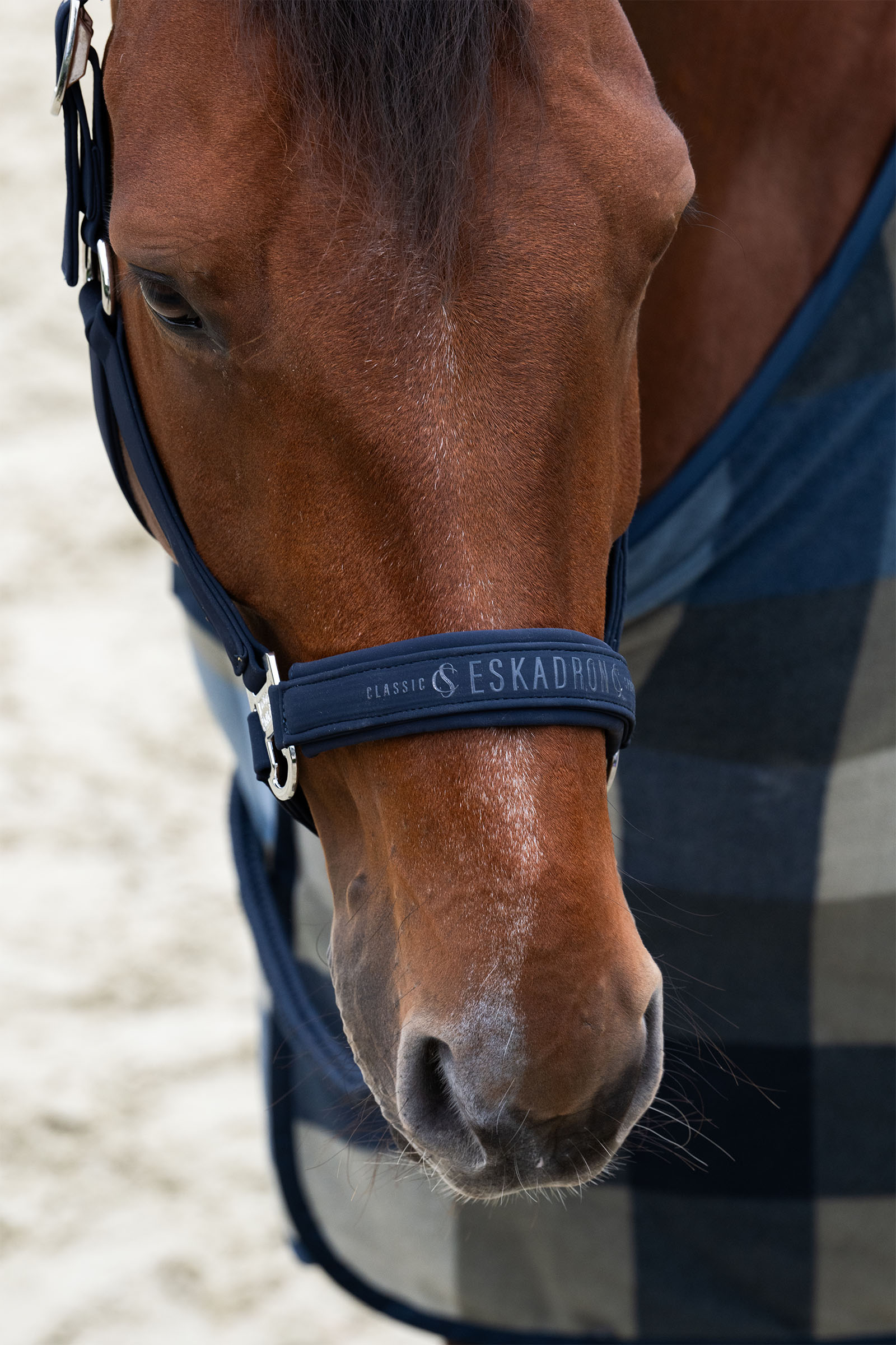 Eskadron Classic Sports SS25 Softshell Double Pin riimu