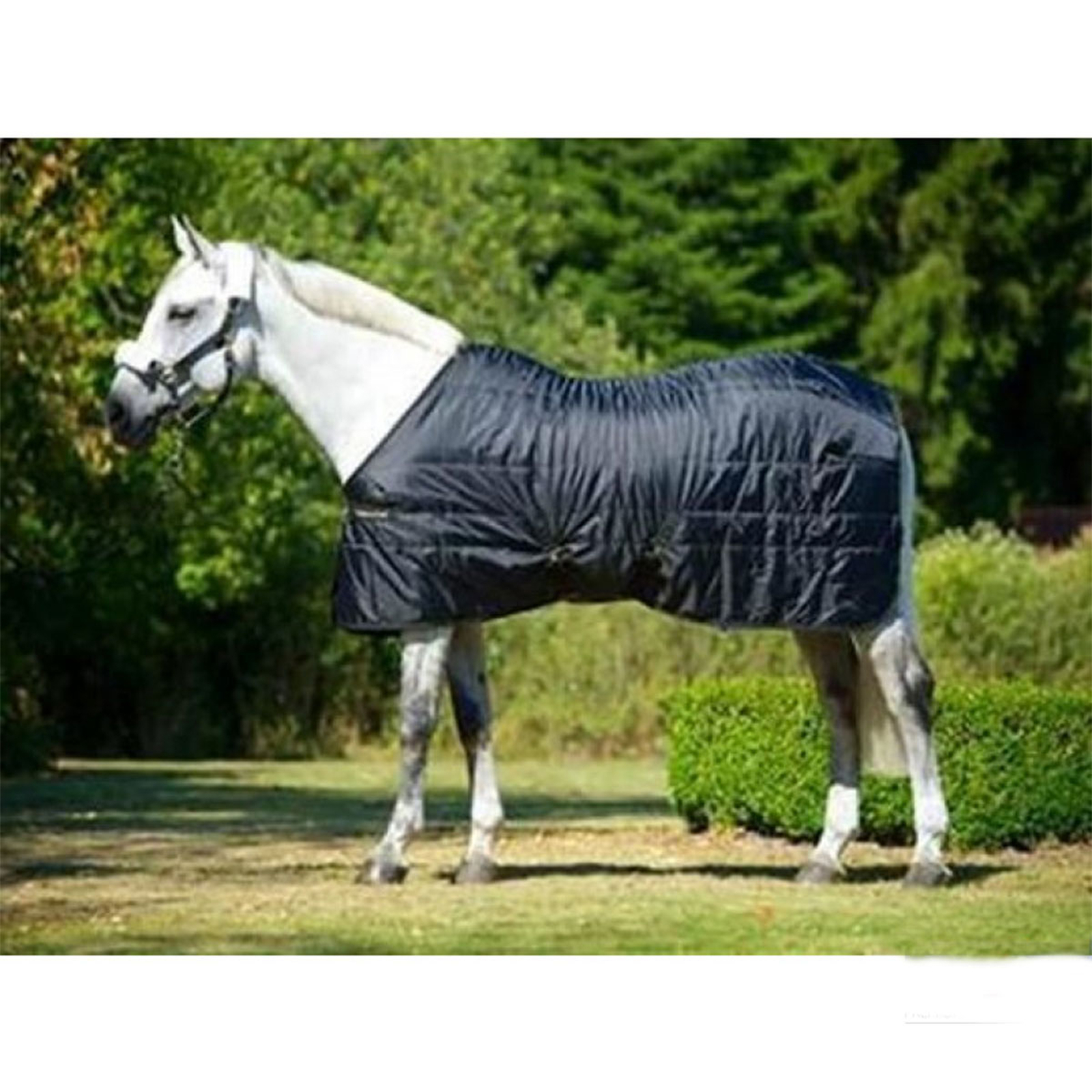 Back On Track Rug Rime Mia loimi, 160 g