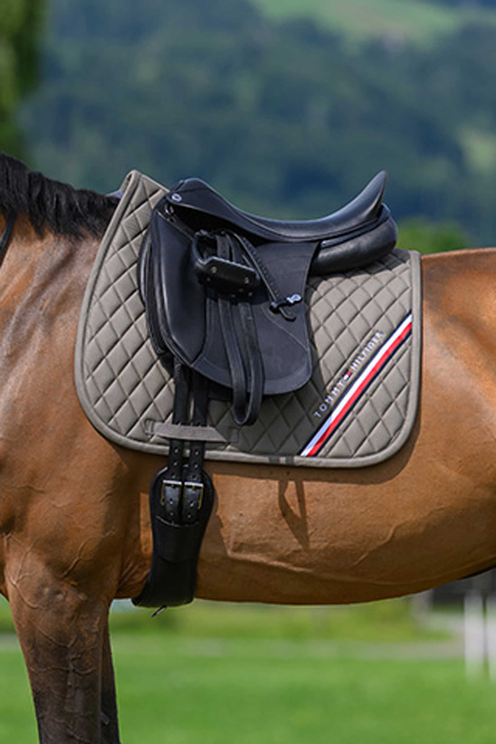 Ash Tommy Hilfiger Equestrian Stanford koulusatulan huopa