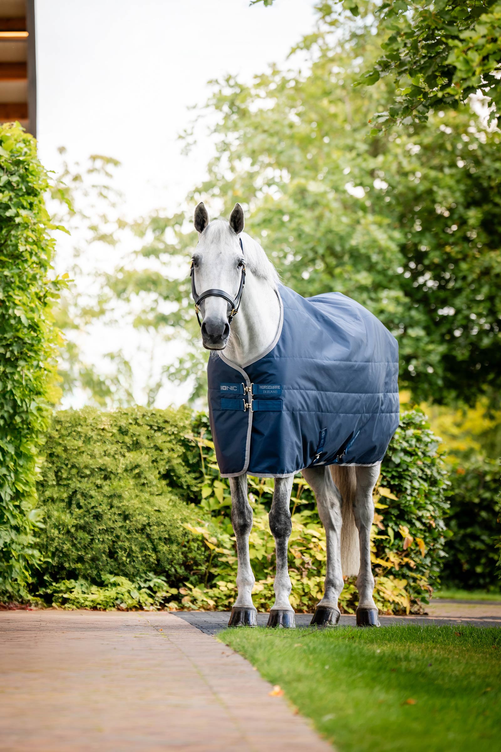 Horseware Ionic Therapy Talliloimi, 50g