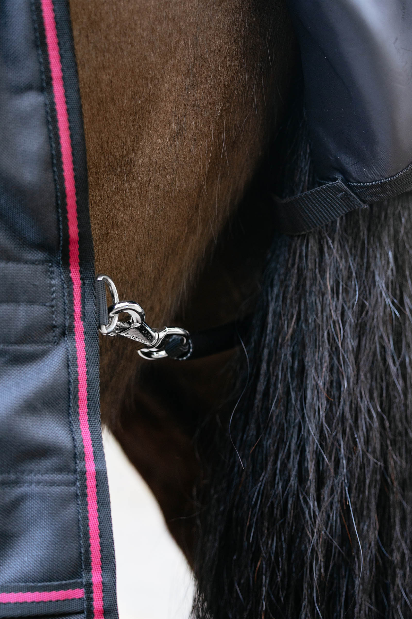 LeMieux Arika Storm-Tek ulkoloimi irrotettavalla kaulaosalla, 50 g