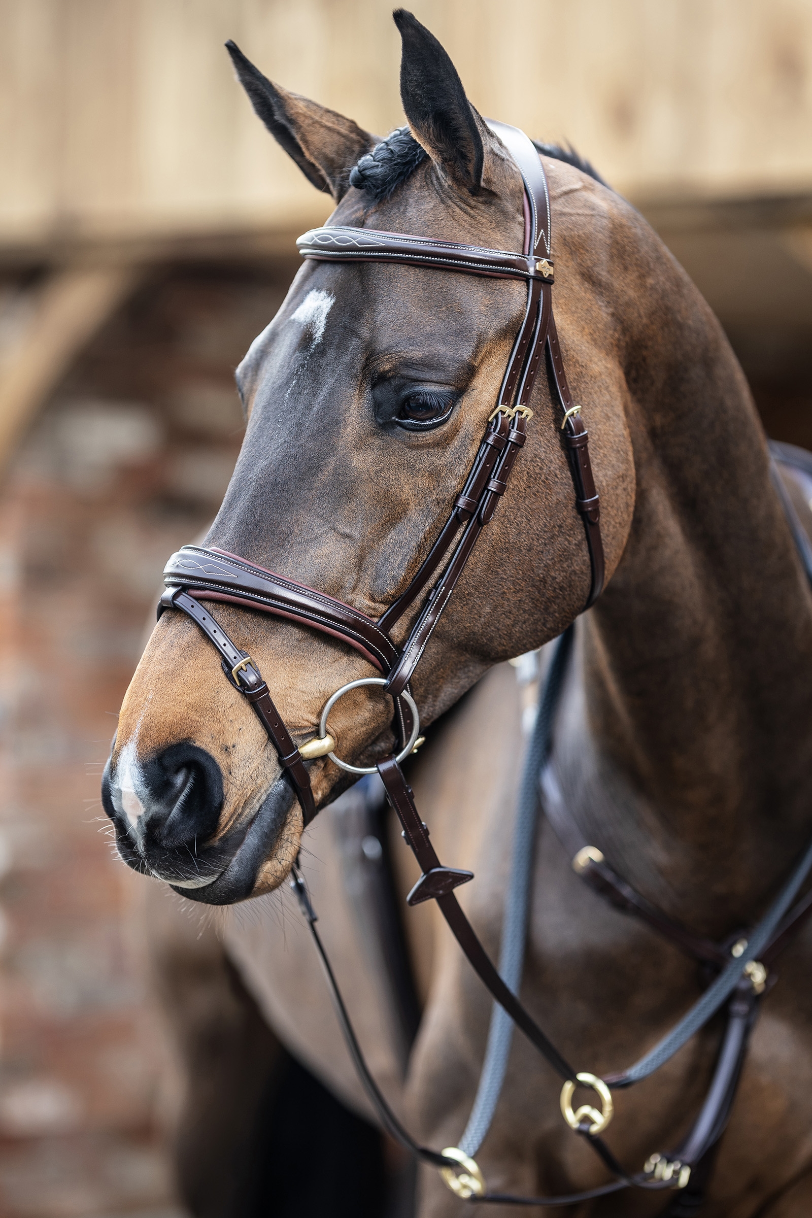 LeMieux Competiton Flash Bridle
